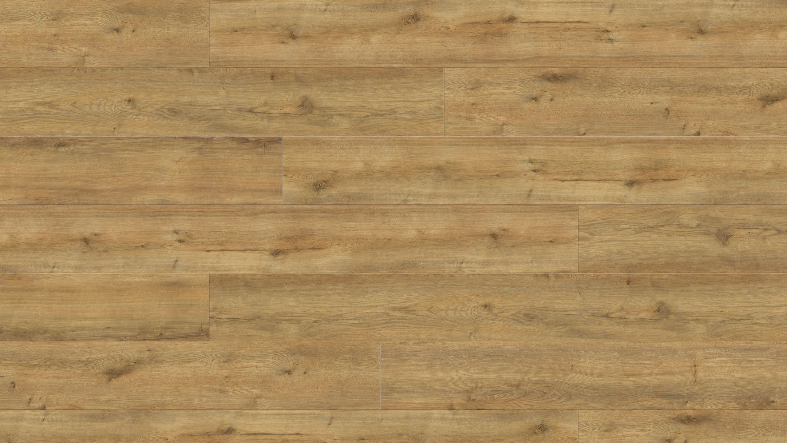 9,8 mm HARO DISANO ClassicAqua - Gebirgseiche Honig_1