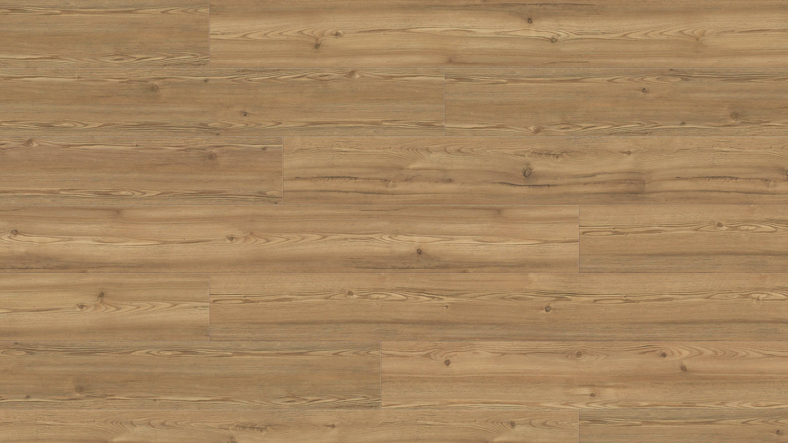 9,8 mm HARO DISANO ClassicAqua - Berglärche cognacbraun_1 9,8 mm HARO DISANO ClassicAqua - Berglärche cognacbraun_1