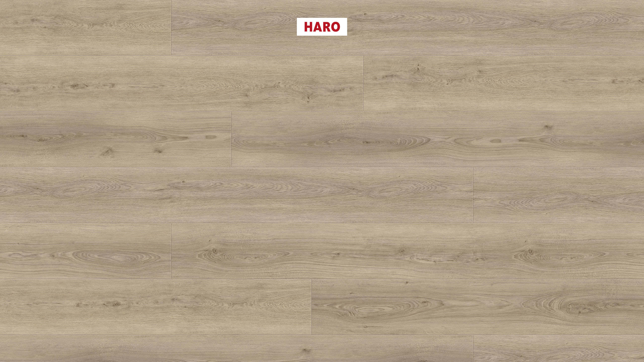 8,8 mm HARO DISANO LifeAqua - Eiche Sheffield graubraun_1