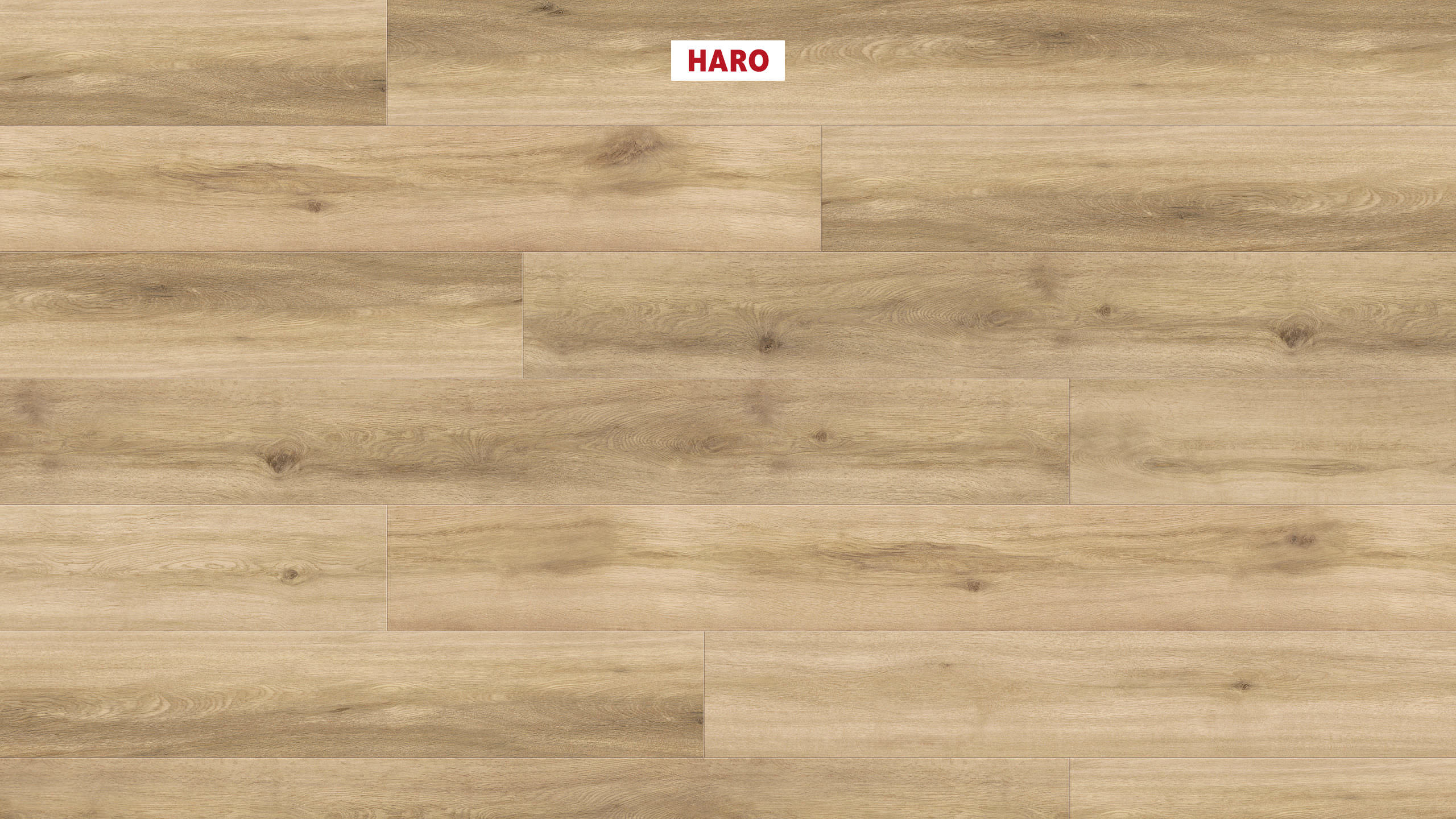 8,8 mm HARO DISANO LifeAqua - Eiche Provence puro_1