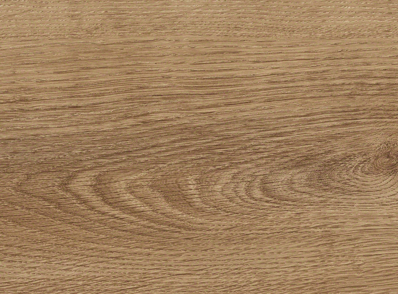 8 mm HARO DISANO WaveAqua - Eiche Victoria Honig_2