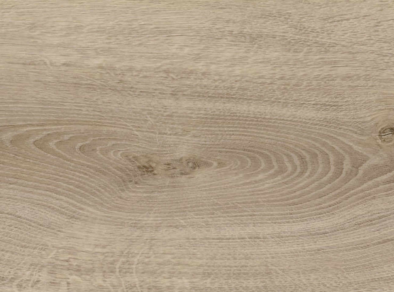 8,8 mm HARO DISANO LifeAqua - Eiche Sheffield graubraun_2