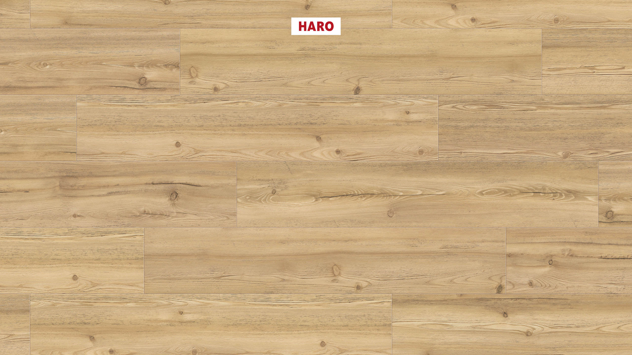 8,8 mm HARO DISANO LifeAqua - Berglärche puro_1