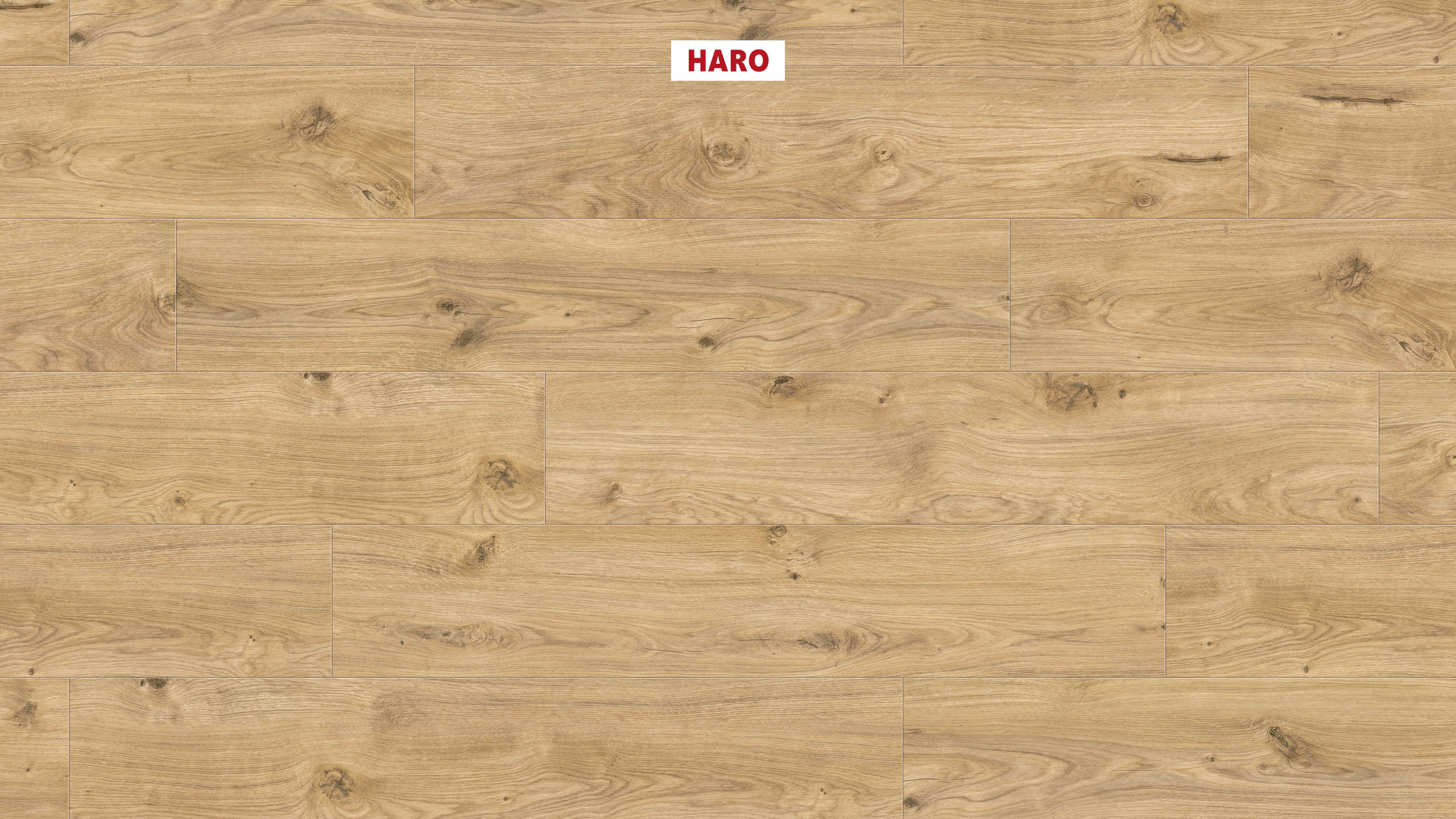 8,8 mm HARO DISANO LifeAqua - Eiche Phoenix_1