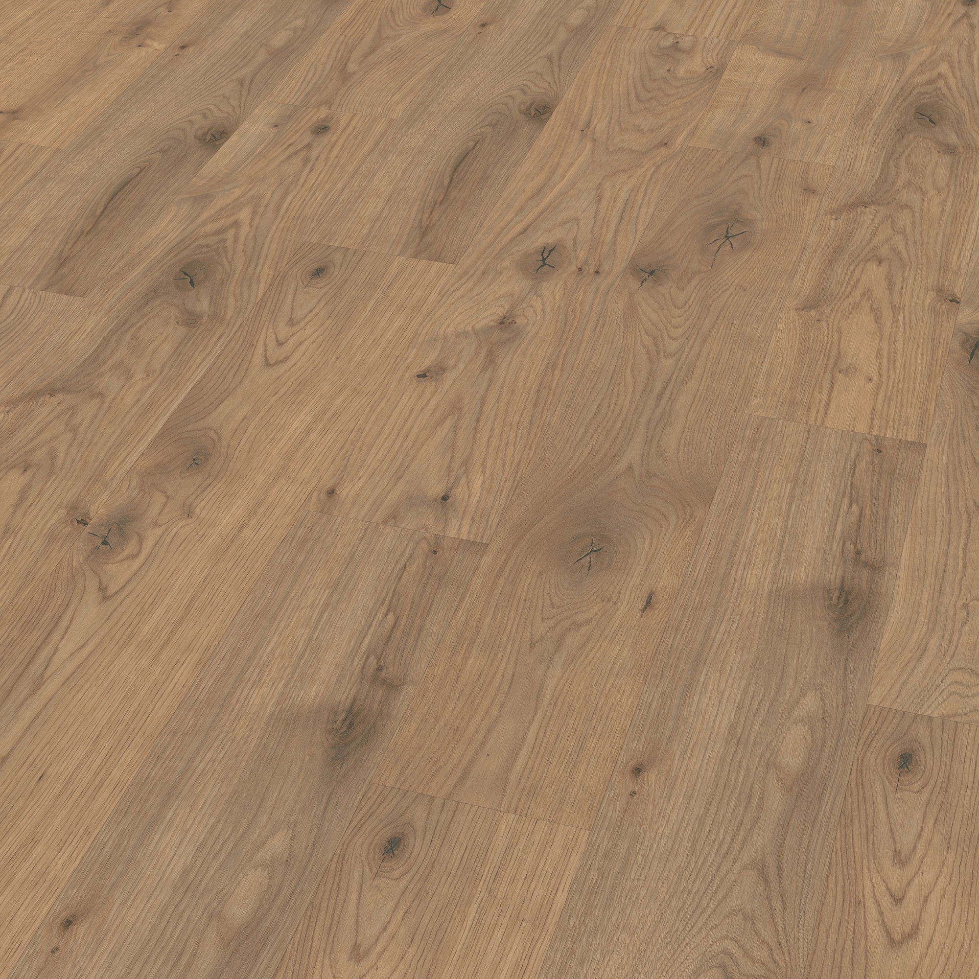 7,5 mm EGGER - Almington Eiche natur - EDF177_1 7,5 mm EGGER - Almington Eiche natur - EDF177_1