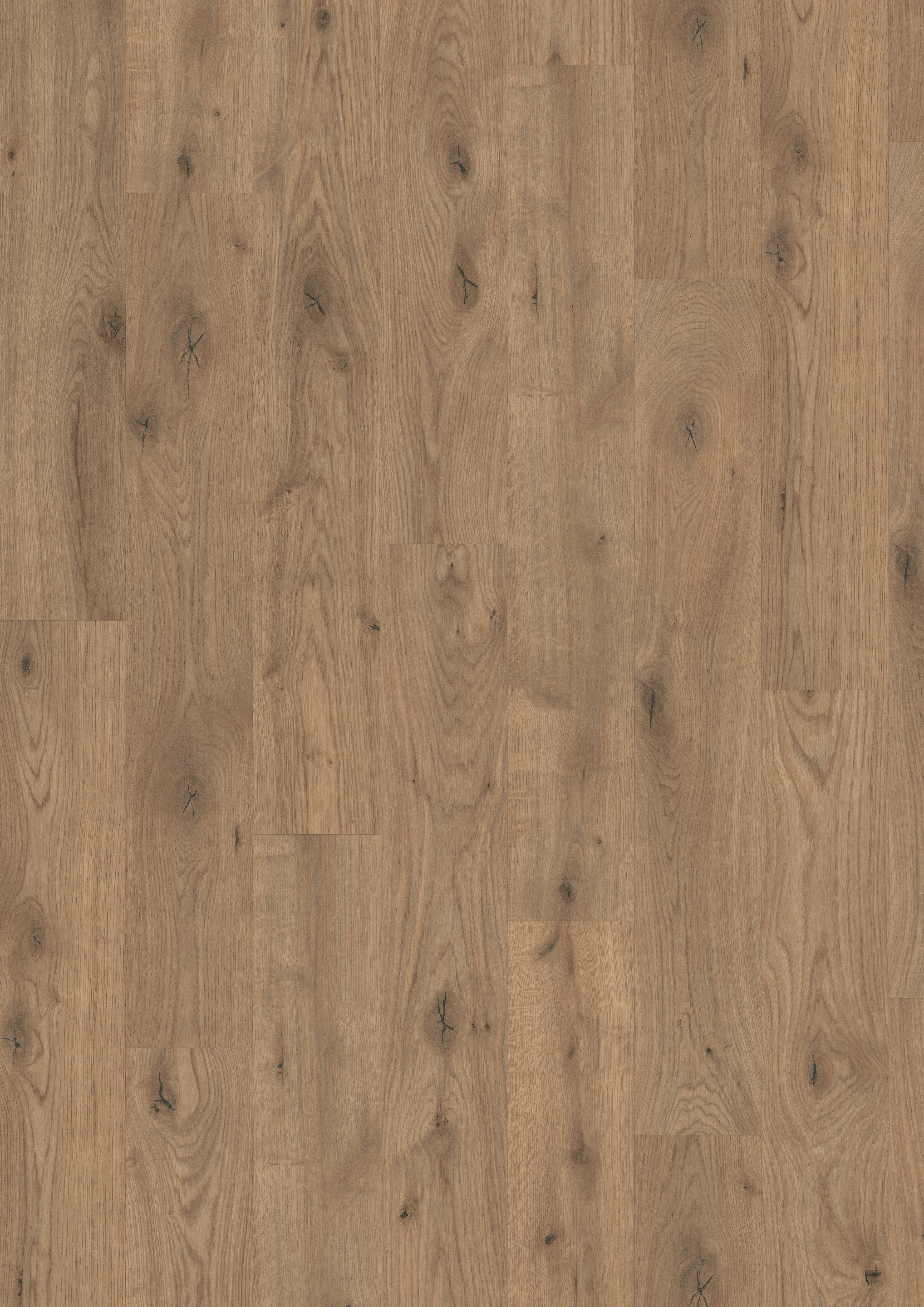 7,5 mm EGGER - Almington Eiche natur - EDF177_3 7,5 mm EGGER - Almington Eiche natur - EDF177_3