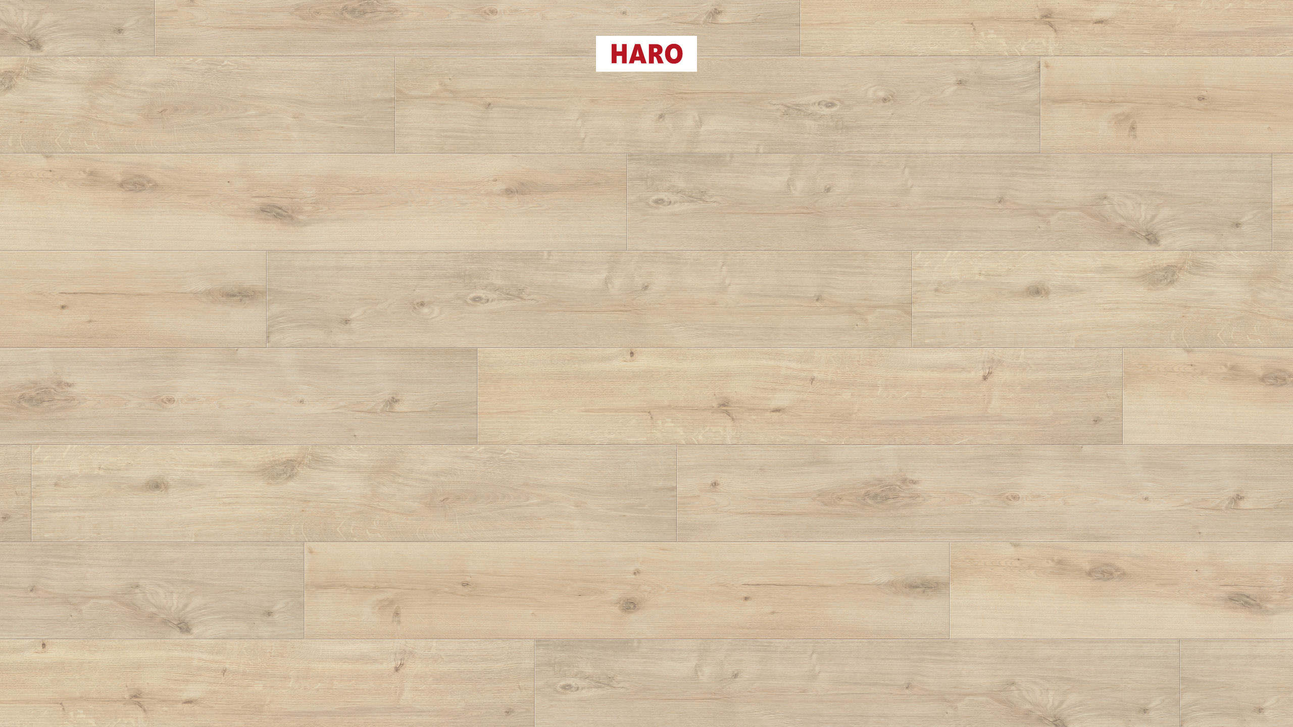7 mm HARO Laminatboden Sonderedition NKL 31 - Eiche Siena samtweiß_0 7 mm HARO Laminatboden Sonderedition NKL 31 - Eiche Siena samtweiß_0