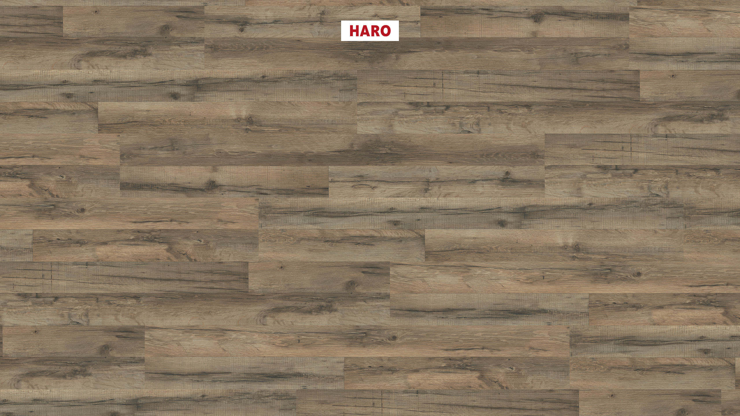 7 mm HARO Laminatboden Sonderedition NKL 31 - Graphiteiche_0 7 mm HARO Laminatboden Sonderedition NKL 31 - Graphiteiche_0