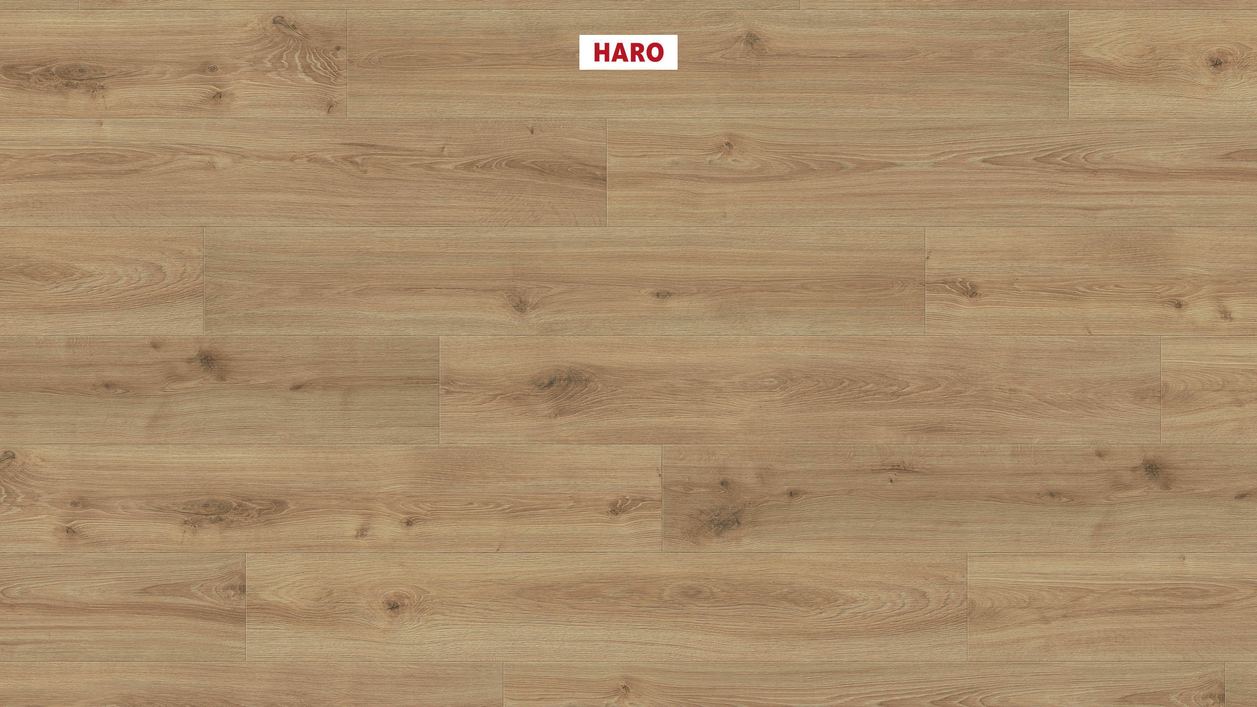 7 mm HARO Laminatboden Sonderedition NKL 31 - Eiche Olbia_0 7 mm HARO Laminatboden Sonderedition NKL 31 - Eiche Olbia_0