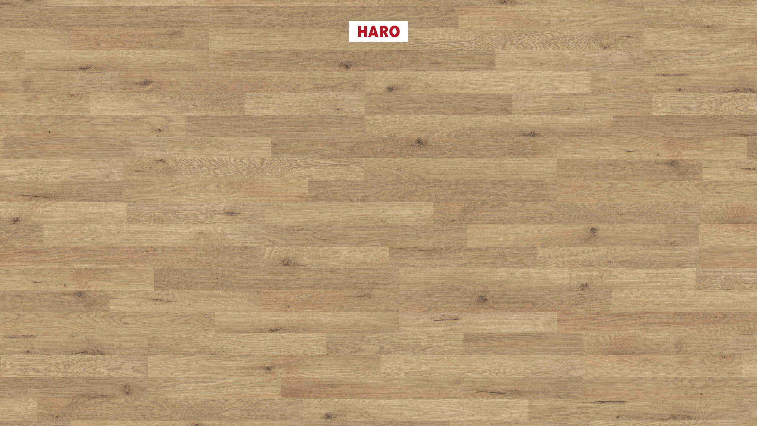 7 mm HARO Laminatboden Sonderedition NKL 31 - Steineiche_0 7 mm HARO Laminatboden Sonderedition NKL 31 - Steineiche_0