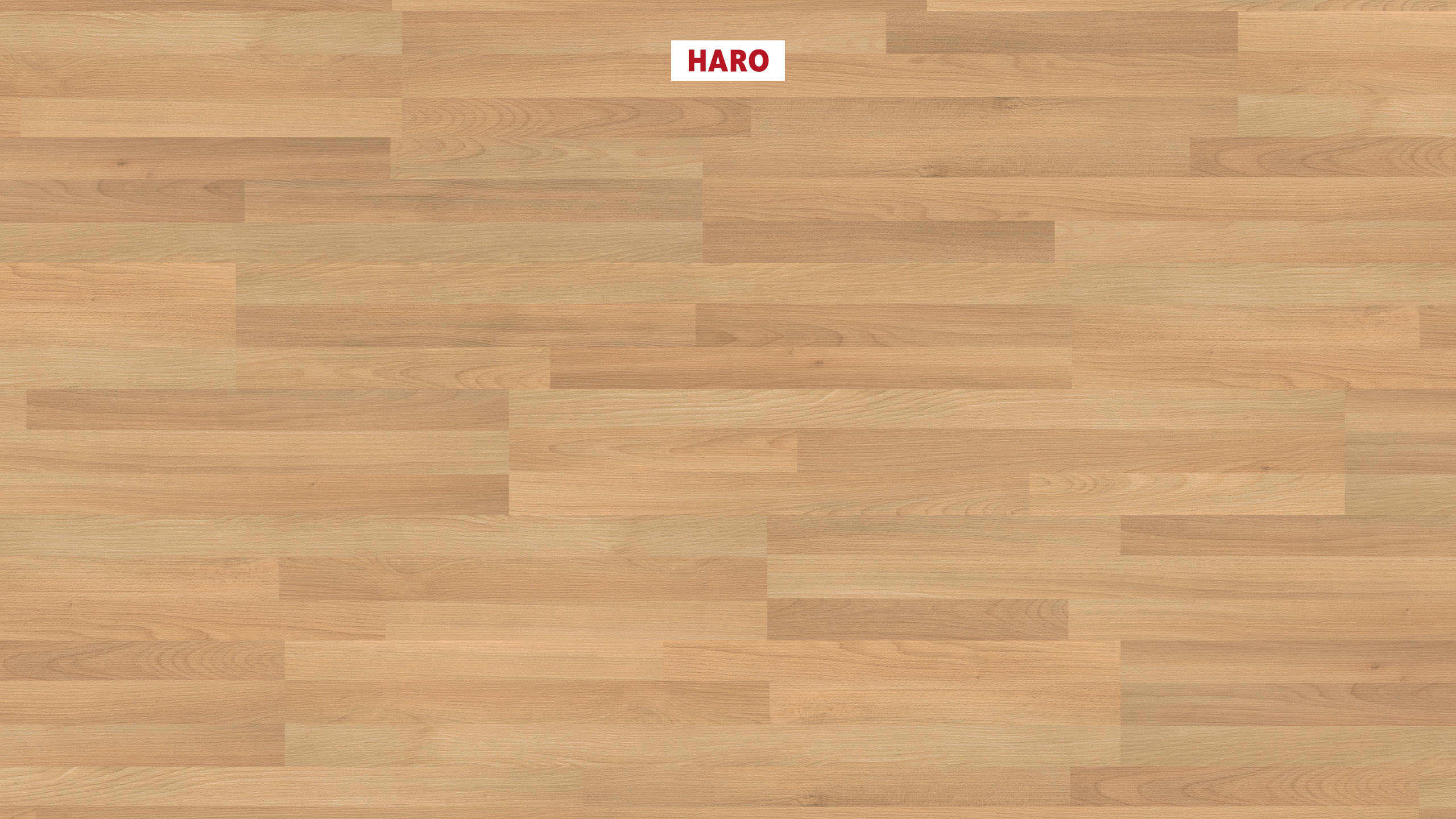 7 mm Haro Laminatboden Sonderedition NKL 31 - Buche_0 7 mm Haro Laminatboden Sonderedition NKL 31 - Buche_0