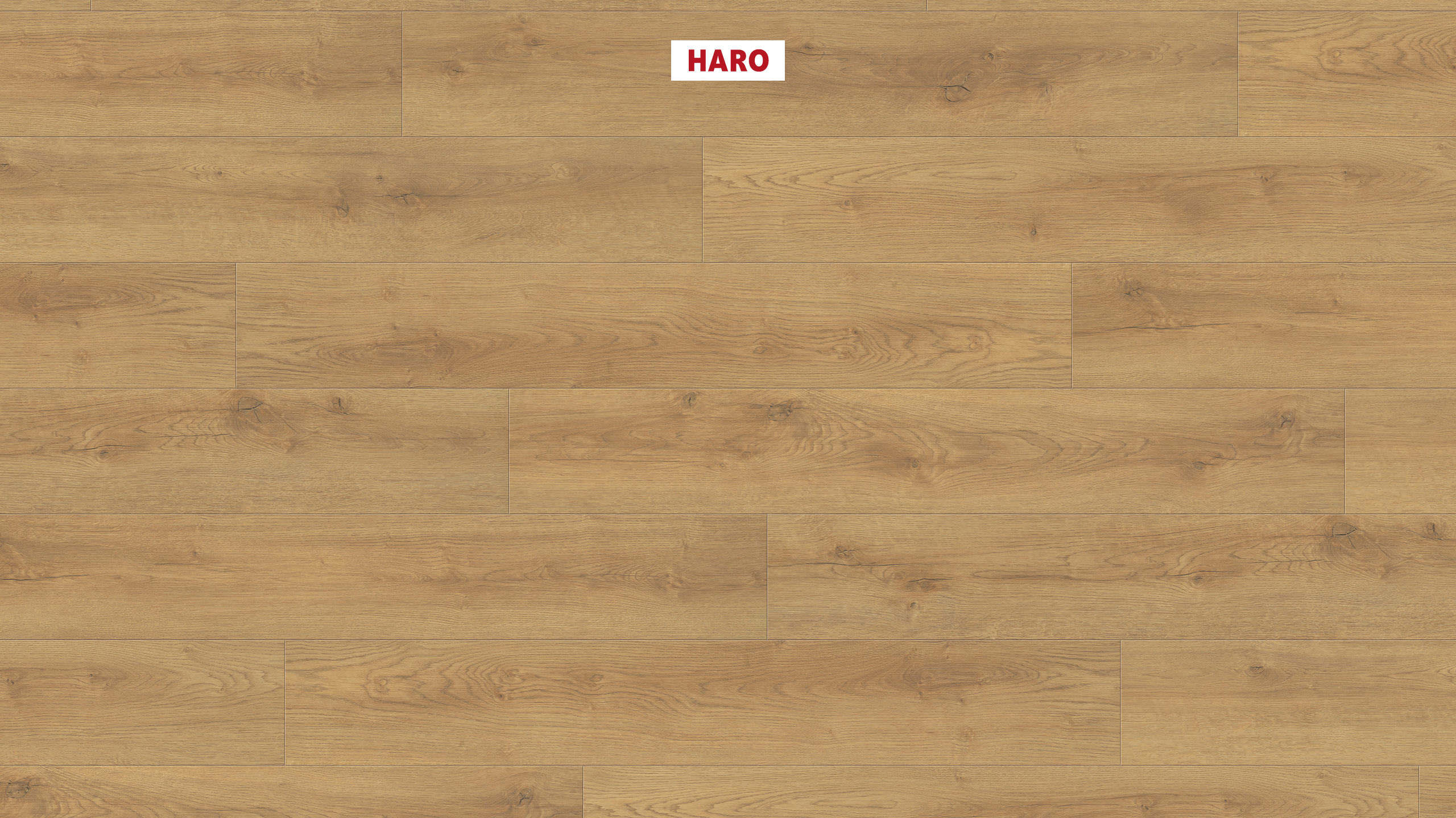 7 mm HARO Laminatboden Sonderedition NKL 31 - Eiche Scarpa natur_0 7 mm HARO Laminatboden Sonderedition NKL 31 - Eiche Scarpa natur_0
