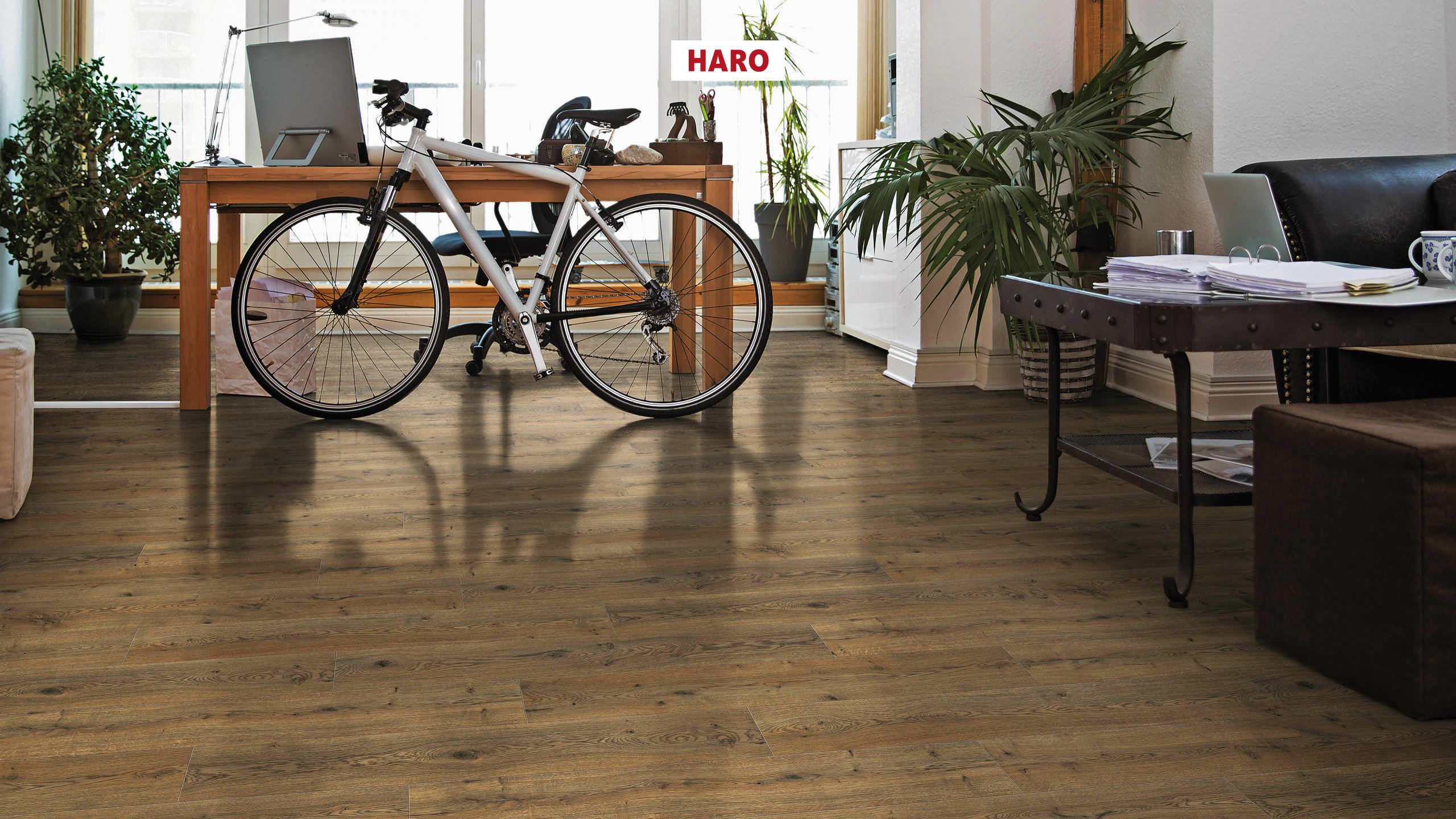 7 mm HARO Laminatboden Sonderedition NKL 31 - Eiche Lombardia_1 7 mm HARO Laminatboden Sonderedition NKL 31 - Eiche Lombardia_1