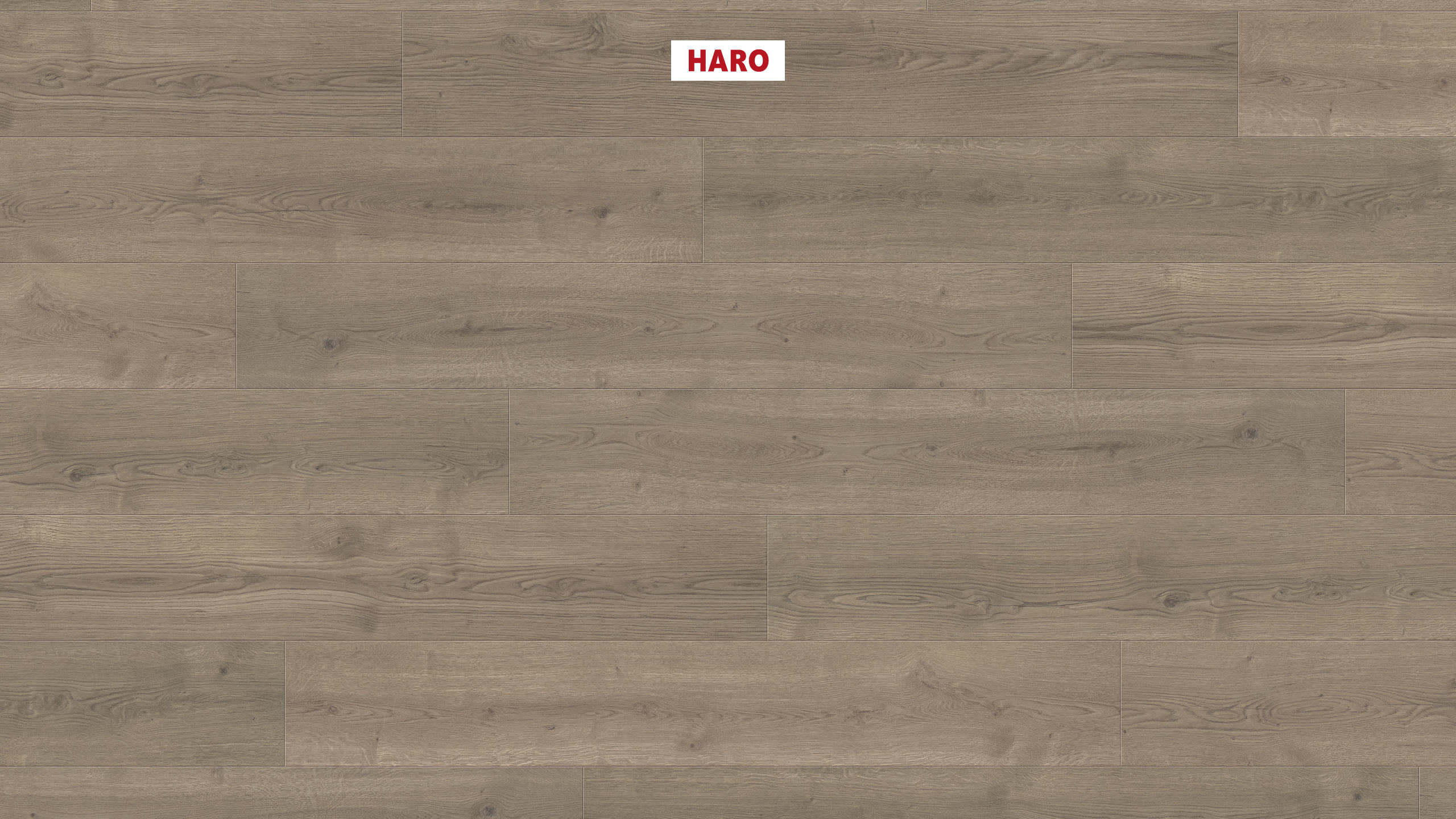 7 mm HARO Laminatboden Tritty 90 - Eiche Bari grau_0 7 mm HARO Laminatboden Tritty 90 - Eiche Bari grau_0