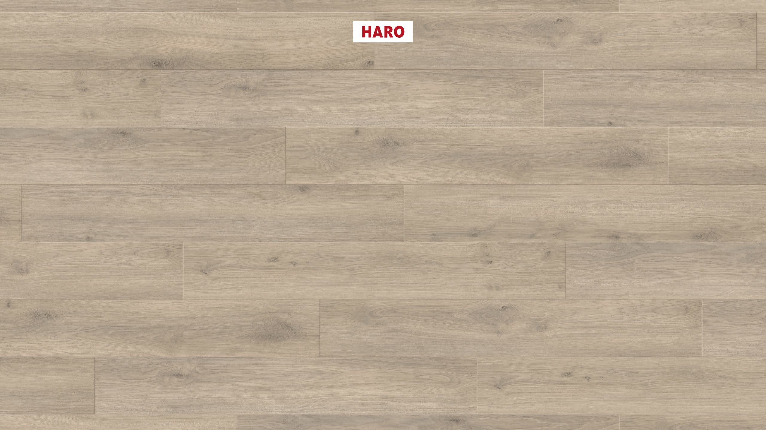 8 mm HARO Laminatboden Tritty 100 - Eiche Emilia samtgrau_0