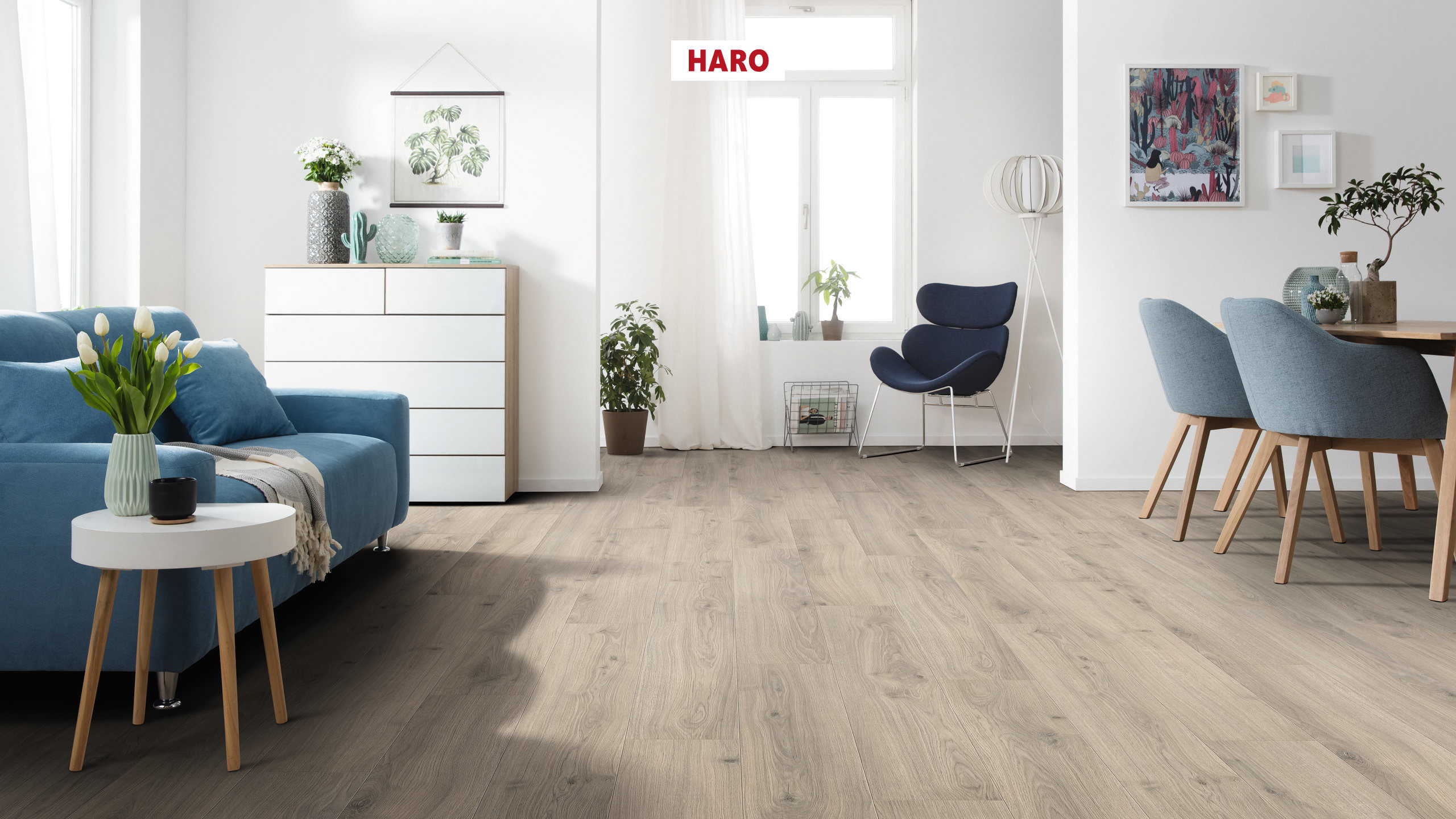8 mm HARO Laminatboden Tritty 100 - Eiche Emilia samtgrau_1