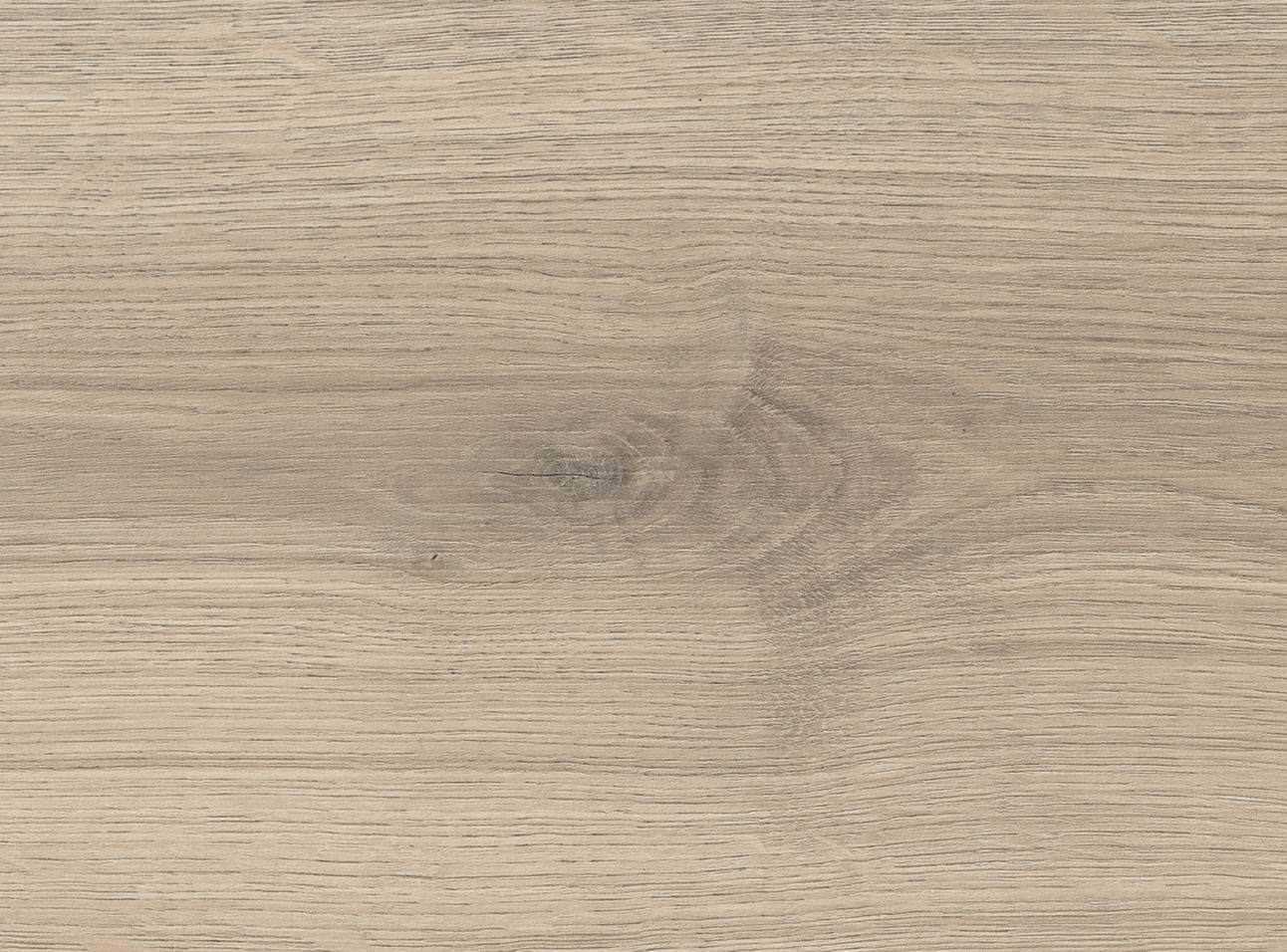 8 mm HARO Laminatboden Tritty 100 - Eiche Emilia samtgrau_2