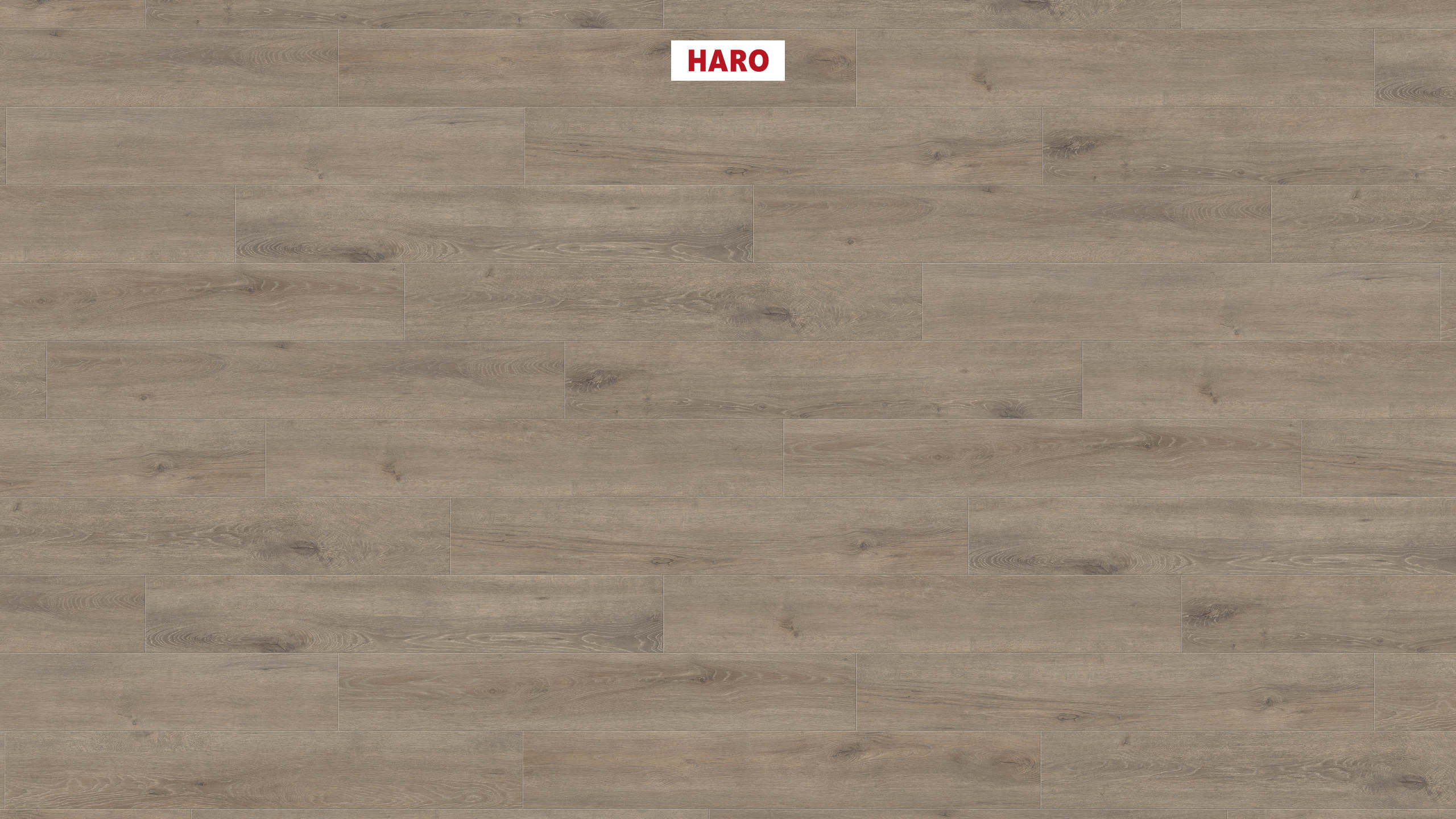 8 mm HARO Laminatboden Tritty 100 - Eiche Veneto mocca_0