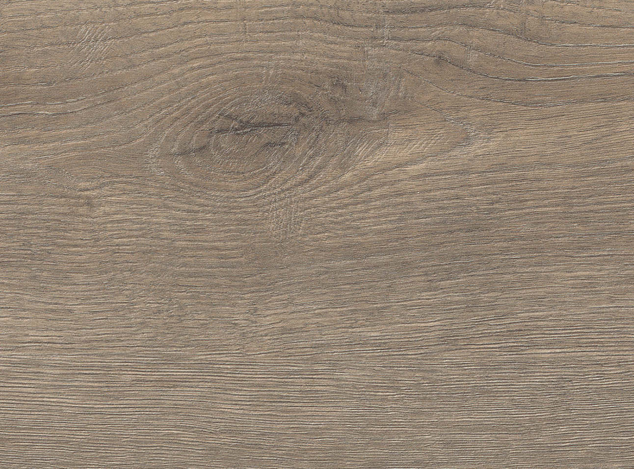 8 mm HARO Laminatboden Tritty 100 - Eiche Veneto mocca_2