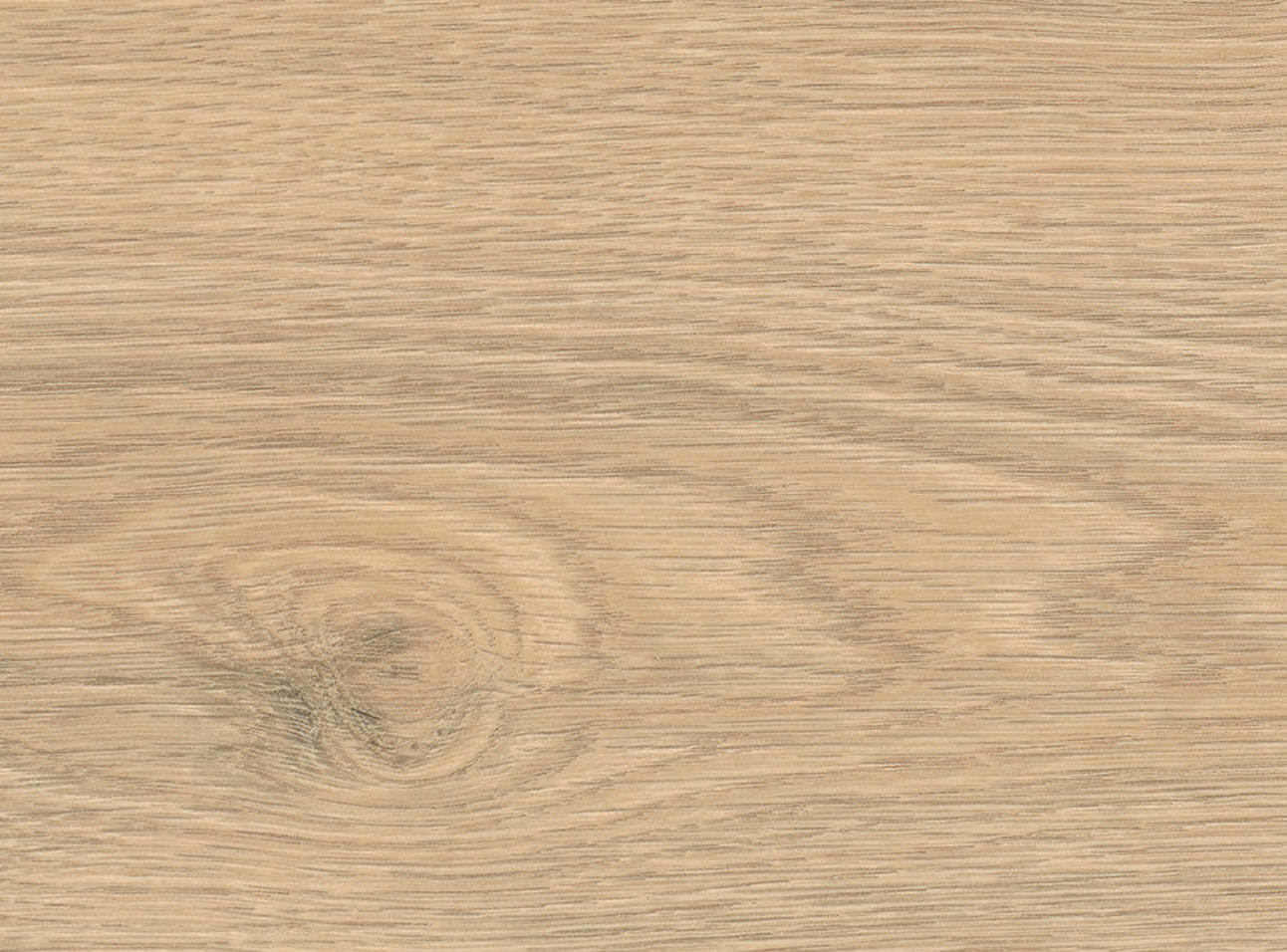8 mm HARO Laminatboden Tritty 100 - Eiche Flavia puro_2 8 mm HARO Laminatboden Tritty 100 - Eiche Flavia puro_2