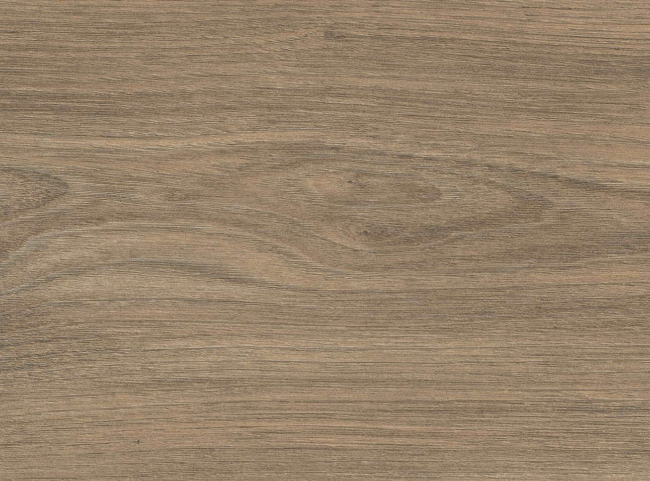 8 mm HARO Laminatboden Tritty 100 - Ulme Vario_2 8 mm HARO Laminatboden Tritty 100 - Ulme Vario_2