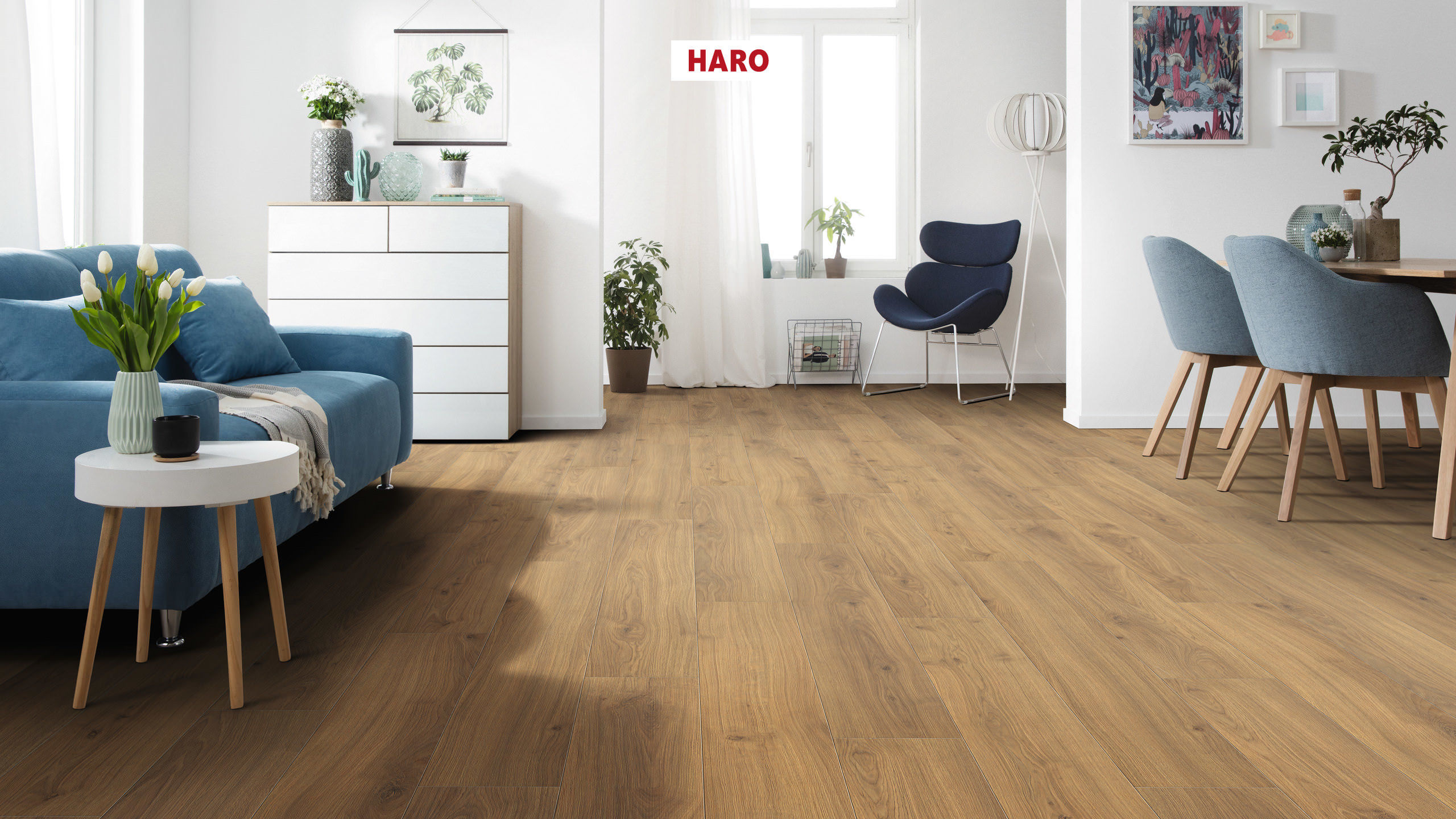 8 mm HARO Laminatboden Tritty 100 - Eiche Emilia Honig_1