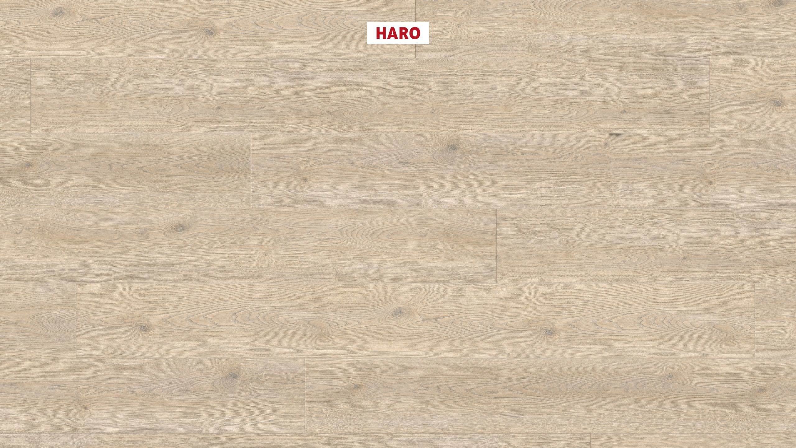 8 mm HARO Laminatboden Tritty 100 - Eiche Contura steingrau_0