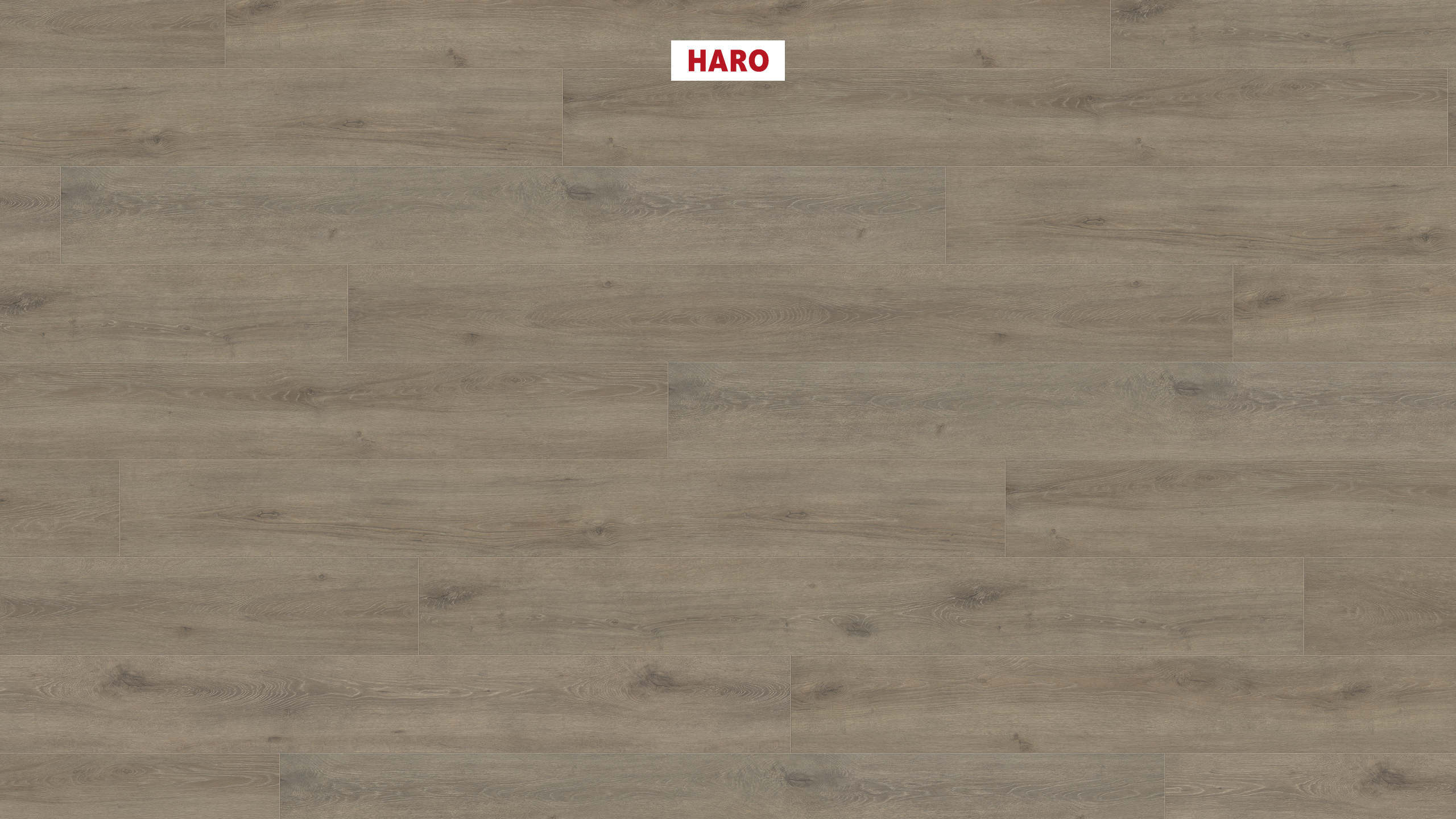 8 mm HARO Laminatboden Tritty 100 - Eiche Veneto mocca_0