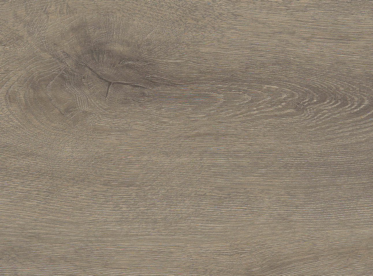 8 mm HARO Laminatboden Tritty 100 - Eiche Veneto mocca_2