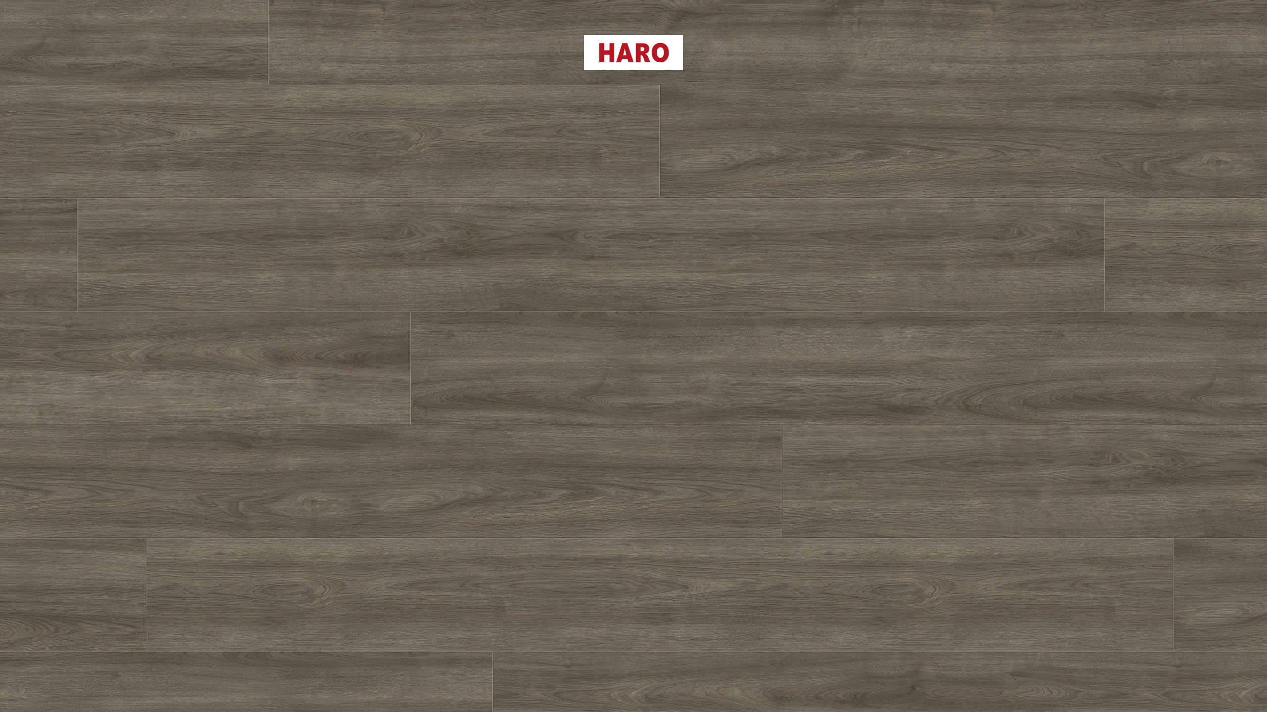 8 mm HARO Laminatboden Tritty 100 - Eiche Eleganza antikgrau_0