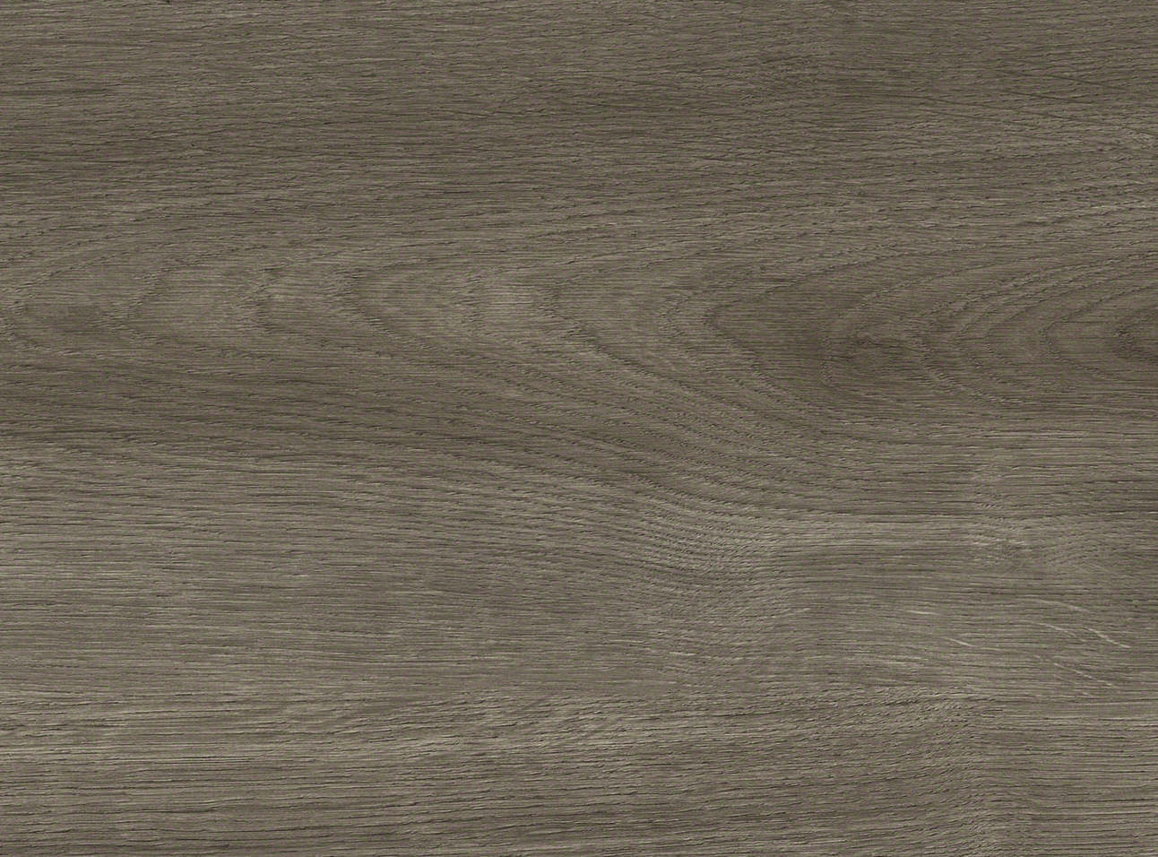 8 mm HARO Laminatboden Tritty 100 - Eiche Eleganza antikgrau_2 8 mm HARO Laminatboden Tritty 100 - Eiche Eleganza antikgrau_2