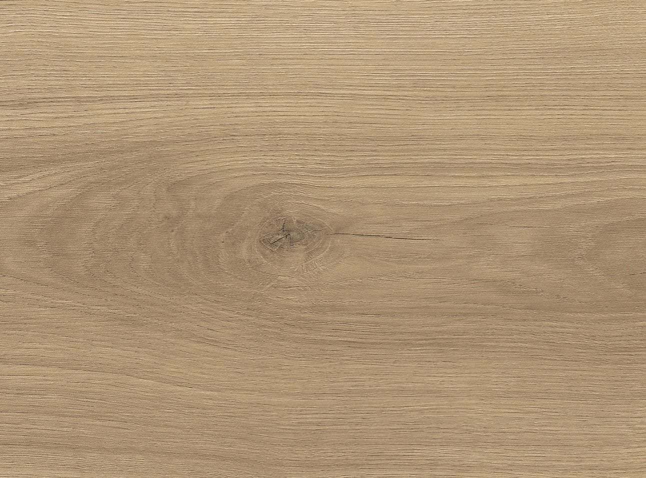 8 mm HARO Laminatboden Tritty 100 - Eiche Emilia puro_2 8 mm HARO Laminatboden Tritty 100 - Eiche Emilia puro_2