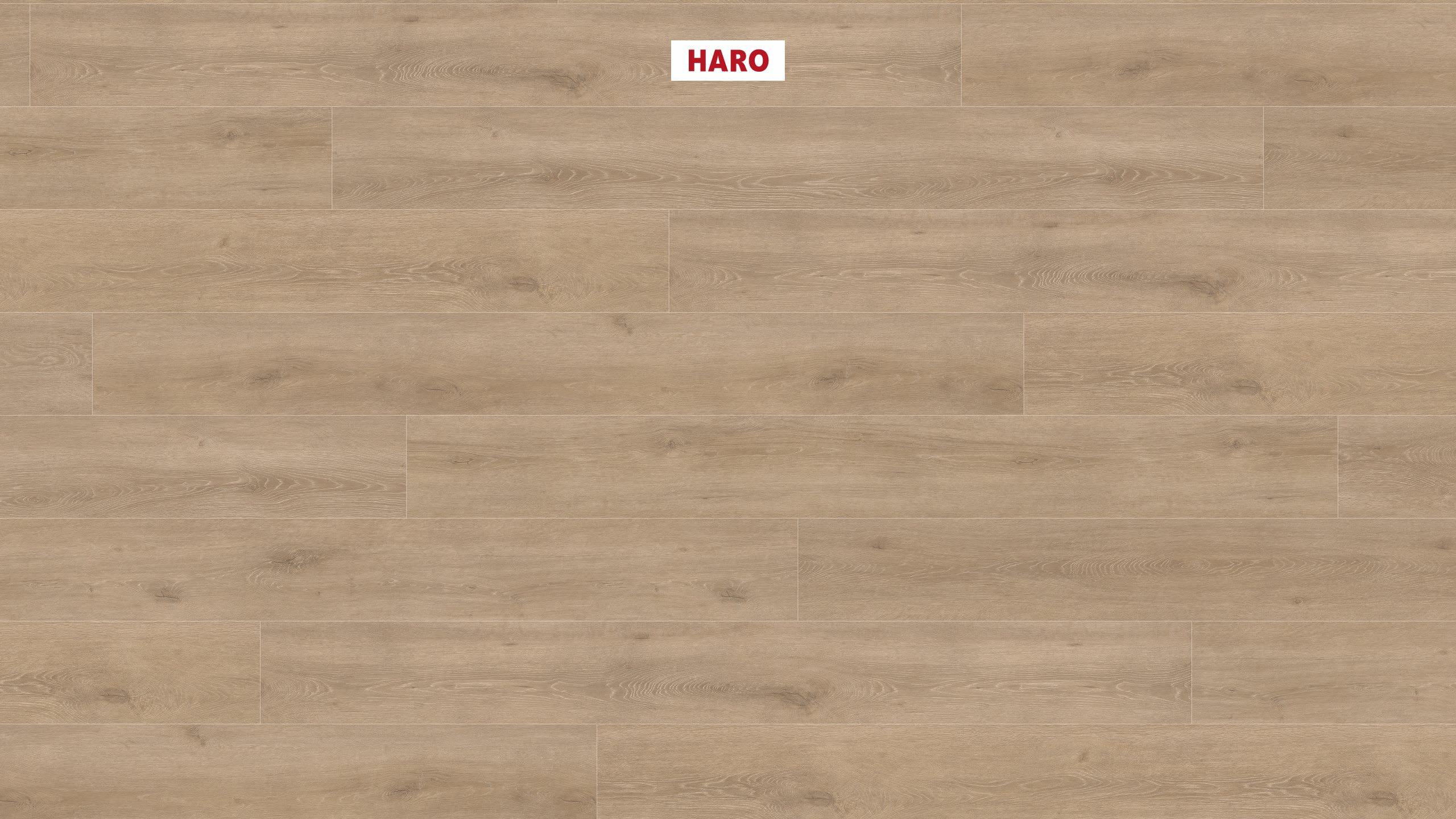 8 mm HARO Laminatboden Tritty 100 - Eiche Veneto crema_0 8 mm HARO Laminatboden Tritty 100 - Eiche Veneto crema_0