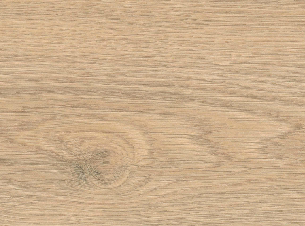 8 mm HARO Laminatboden Tritty 100 - Eiche Flavia puro_2 8 mm HARO Laminatboden Tritty 100 - Eiche Flavia puro_2