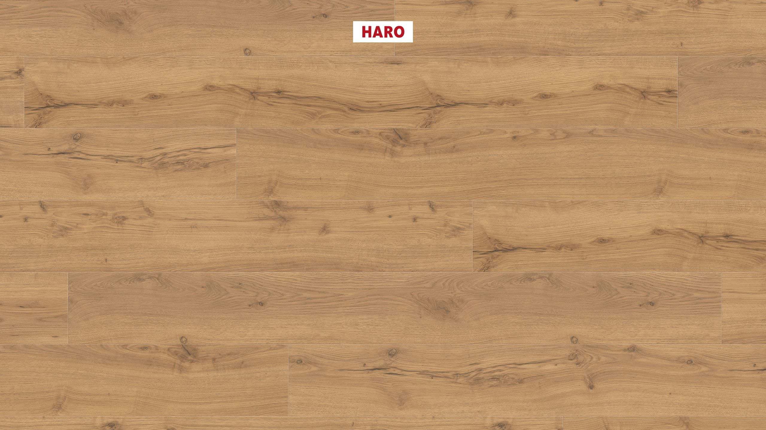 8 mm HARO Laminatboden Tritty 100 - Alpineiche natur_0