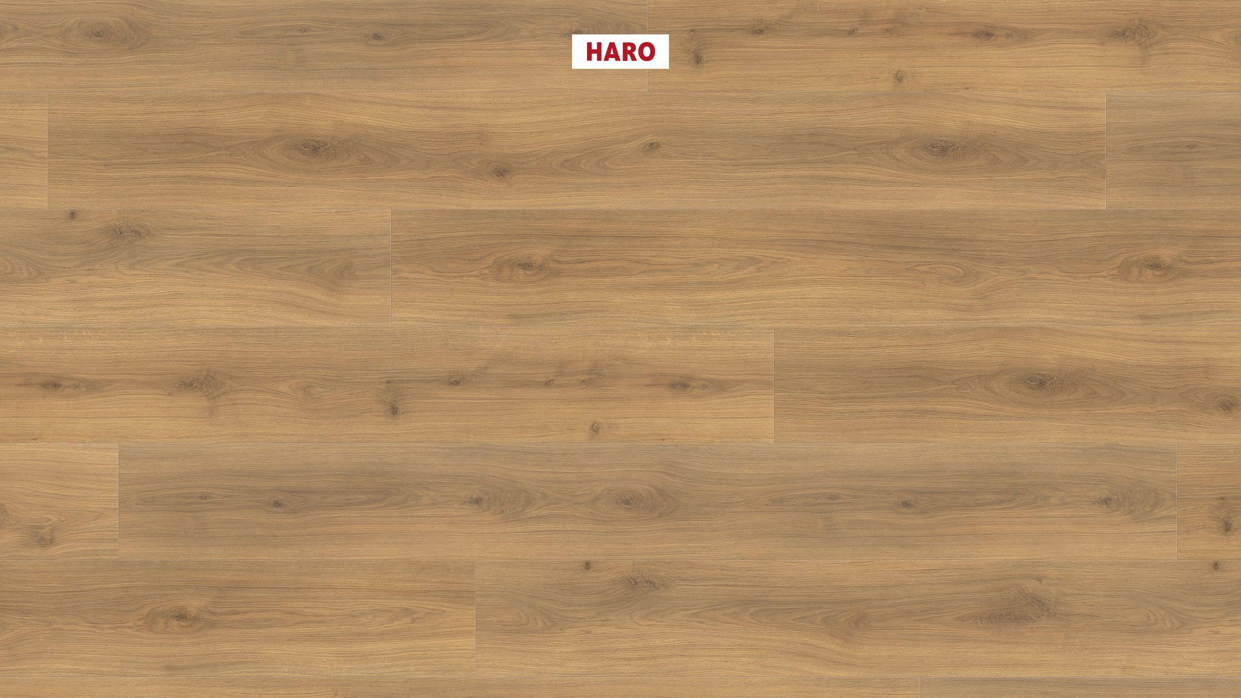 8 mm HARO Laminatboden Tritty 100 - Eiche Emilia Honig_0