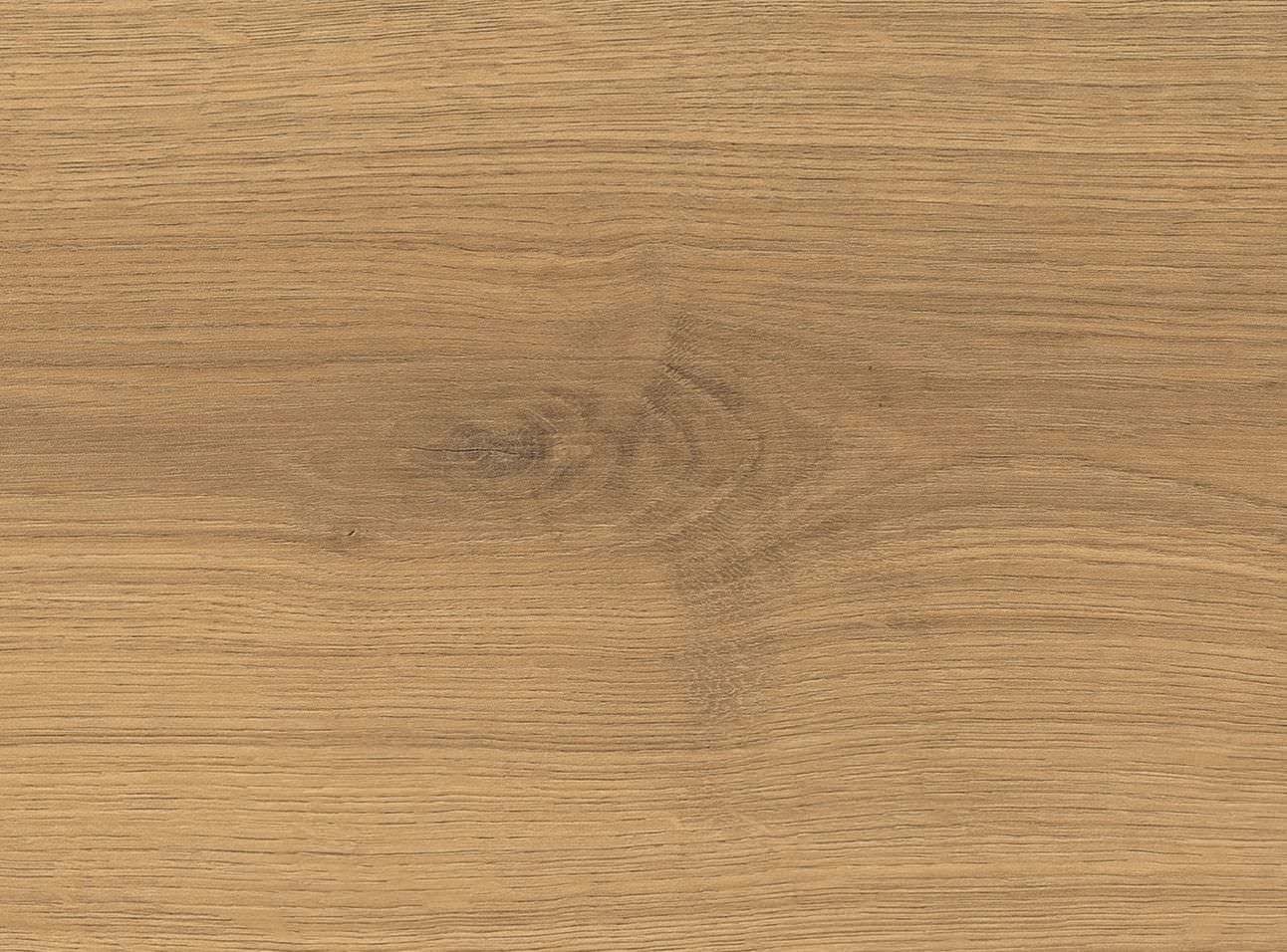 8 mm HARO Laminatboden Tritty 100 - Eiche Emilia Honig_2