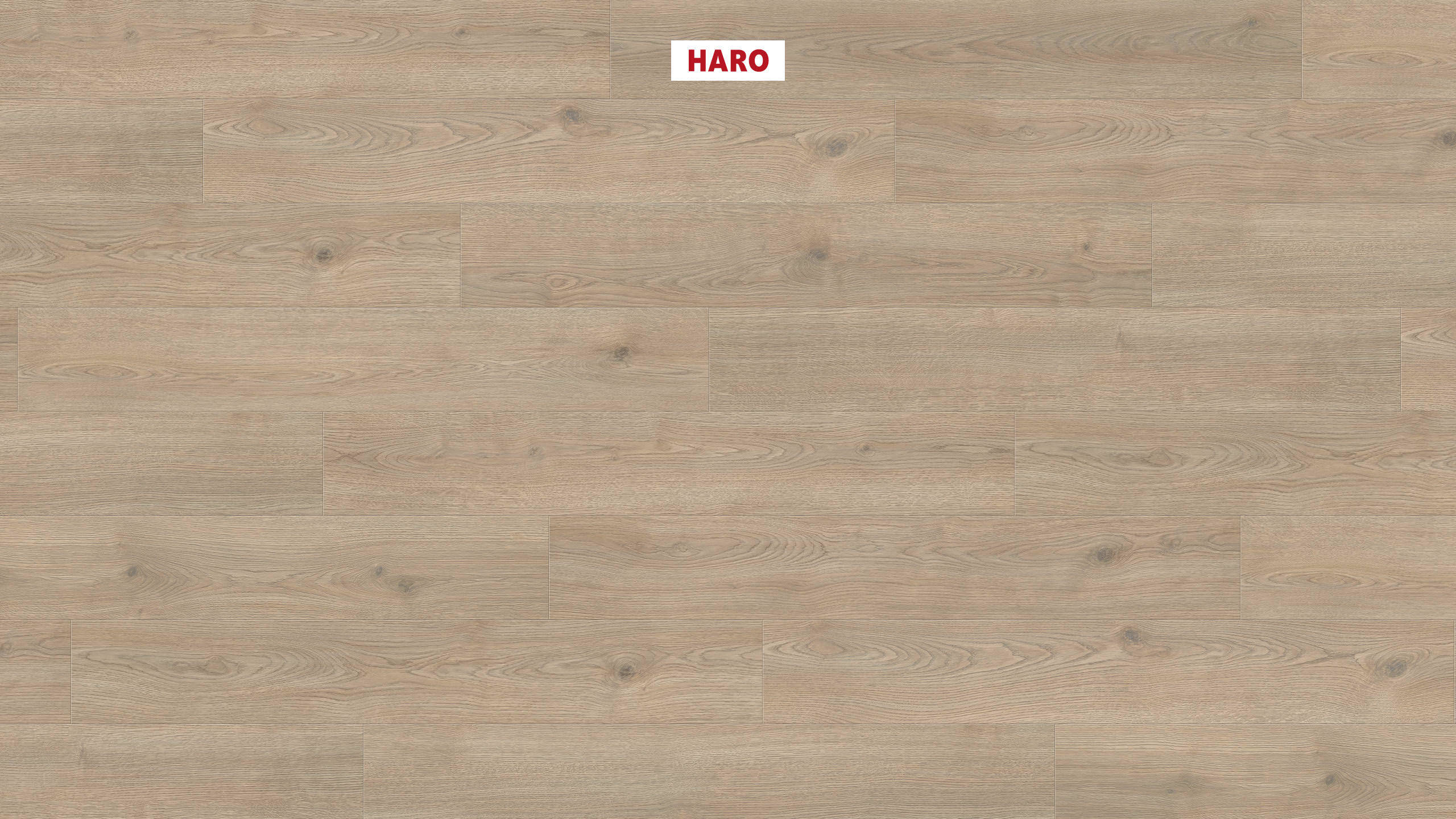 8 mm HARO Laminatboden Tritty 200 Aqua - Eiche Contura steingrau_0 8 mm HARO Laminatboden Tritty 200 Aqua - Eiche Contura steingrau_0