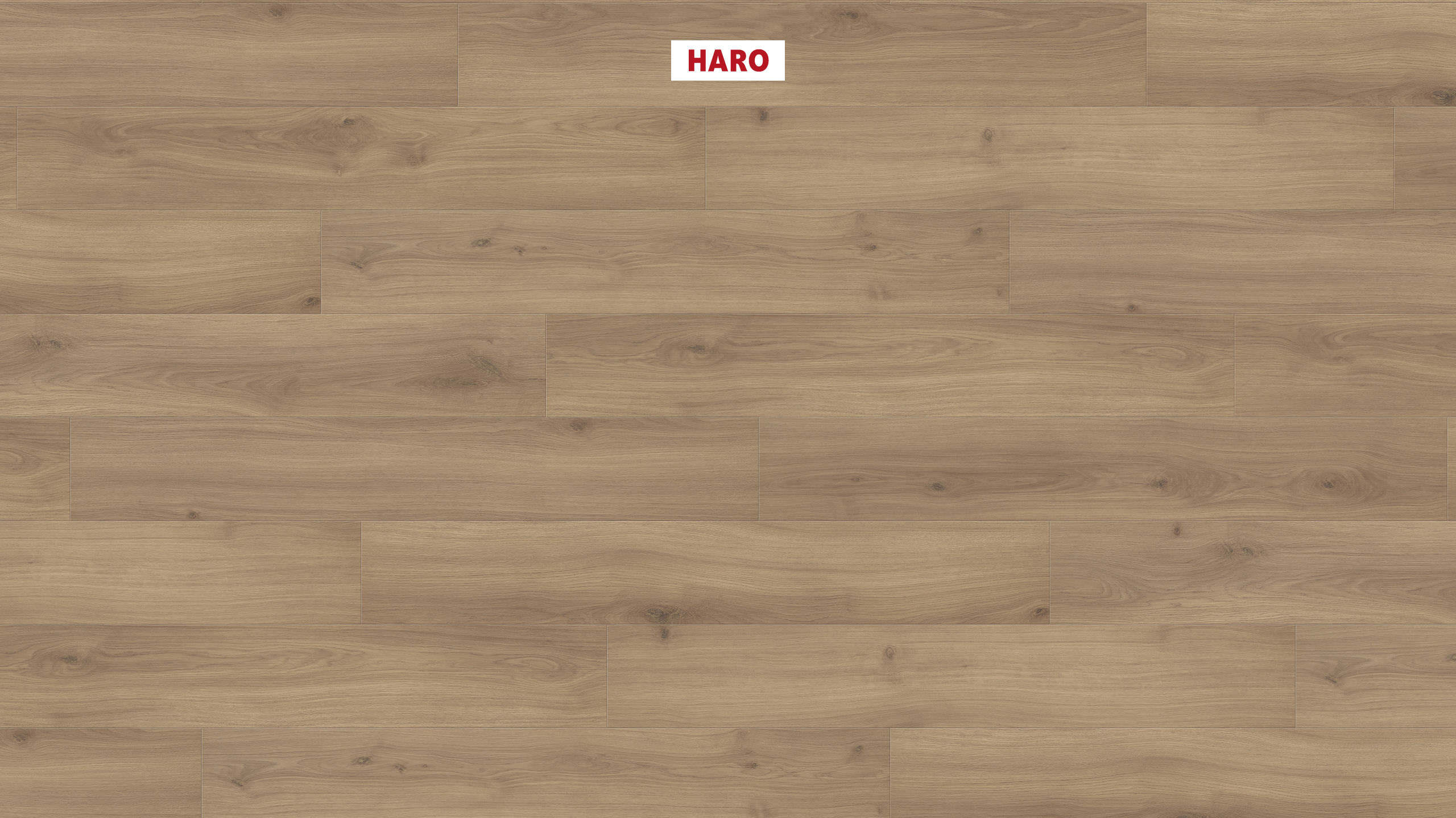 8 mm HARO Laminatboden Tritty 200 Aqua - Eiche Emilia puro_0