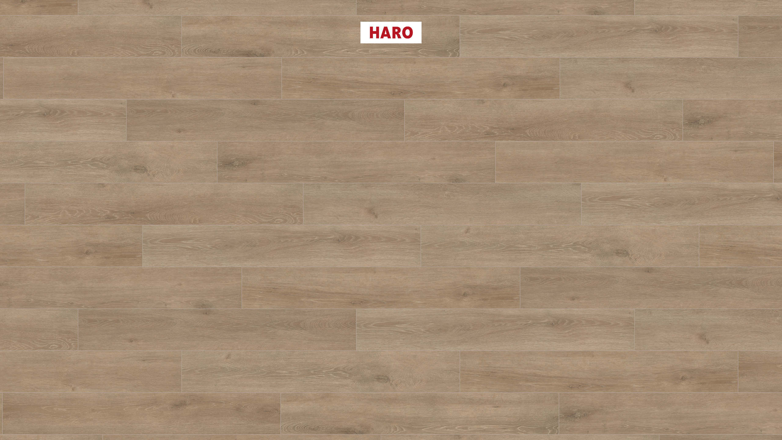 8 mm HARO Laminatboden Tritty 200 Aqua - Eiche Veneto crema_0