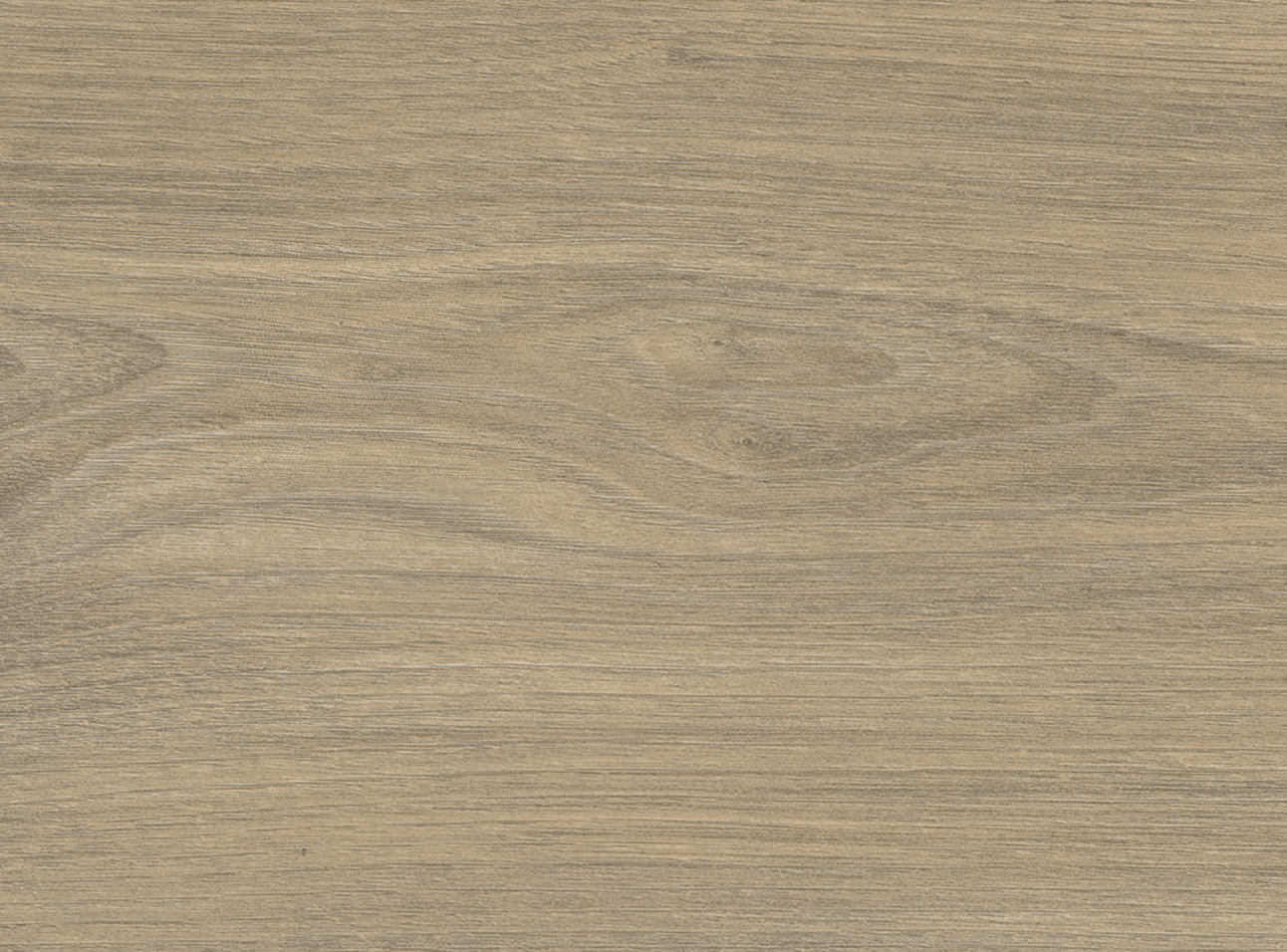 8 mm HARO Laminatboden Tritty 200 Aqua - Ulme Vario_2 8 mm HARO Laminatboden Tritty 200 Aqua - Ulme Vario_2