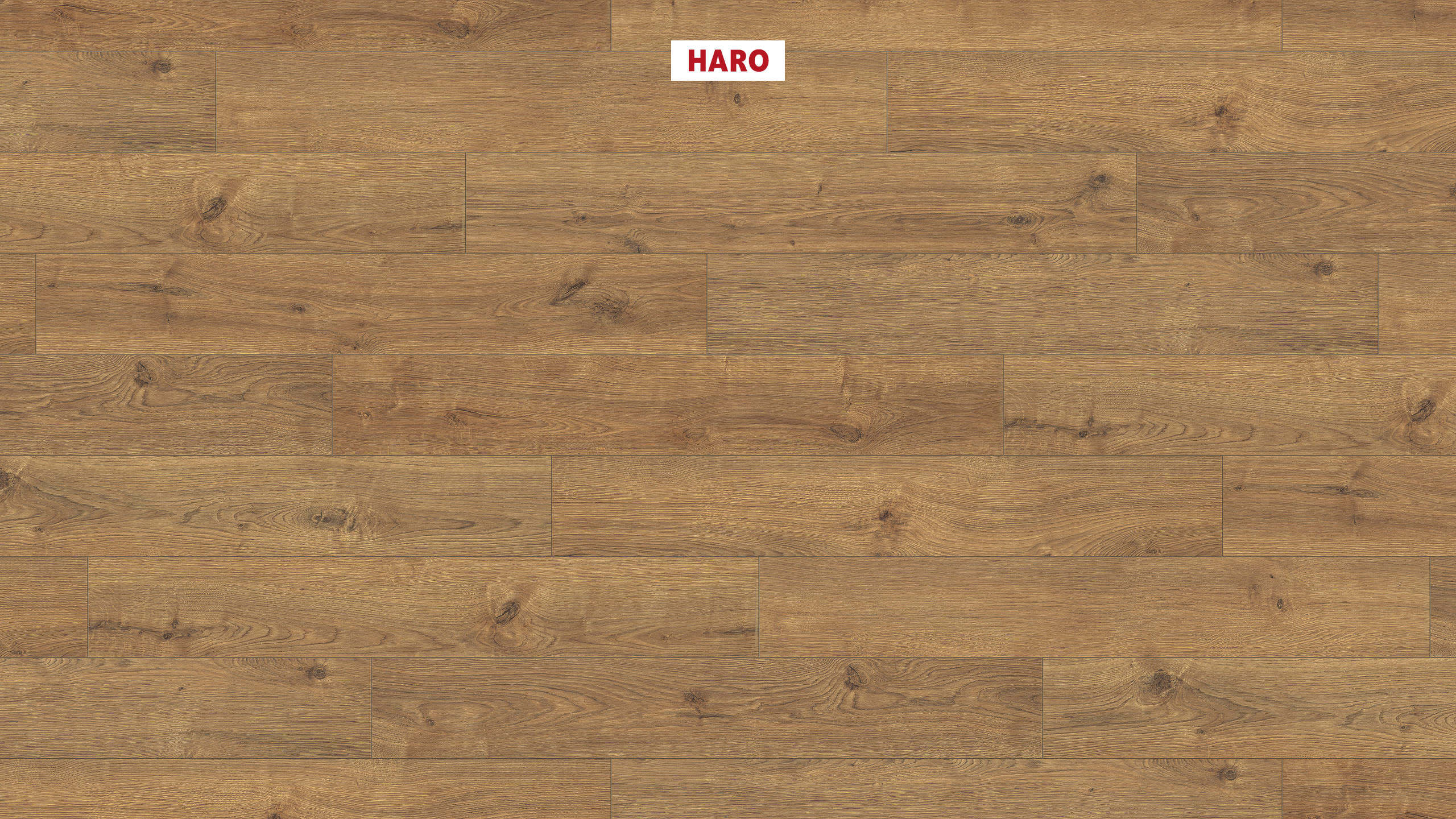 8 mm HARO Laminatboden Tritty 200 Aqua - Eiche Portland natur_0