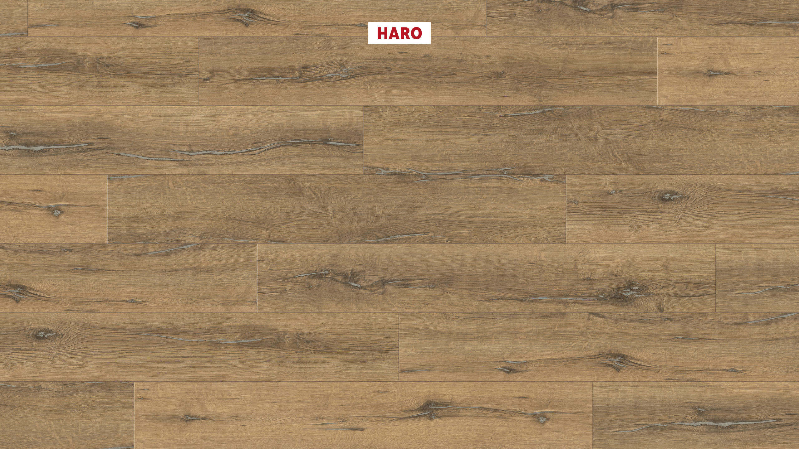 8 mm HARO Laminatboden Tritty 200 Aqua - Eiche Metallic natur_0