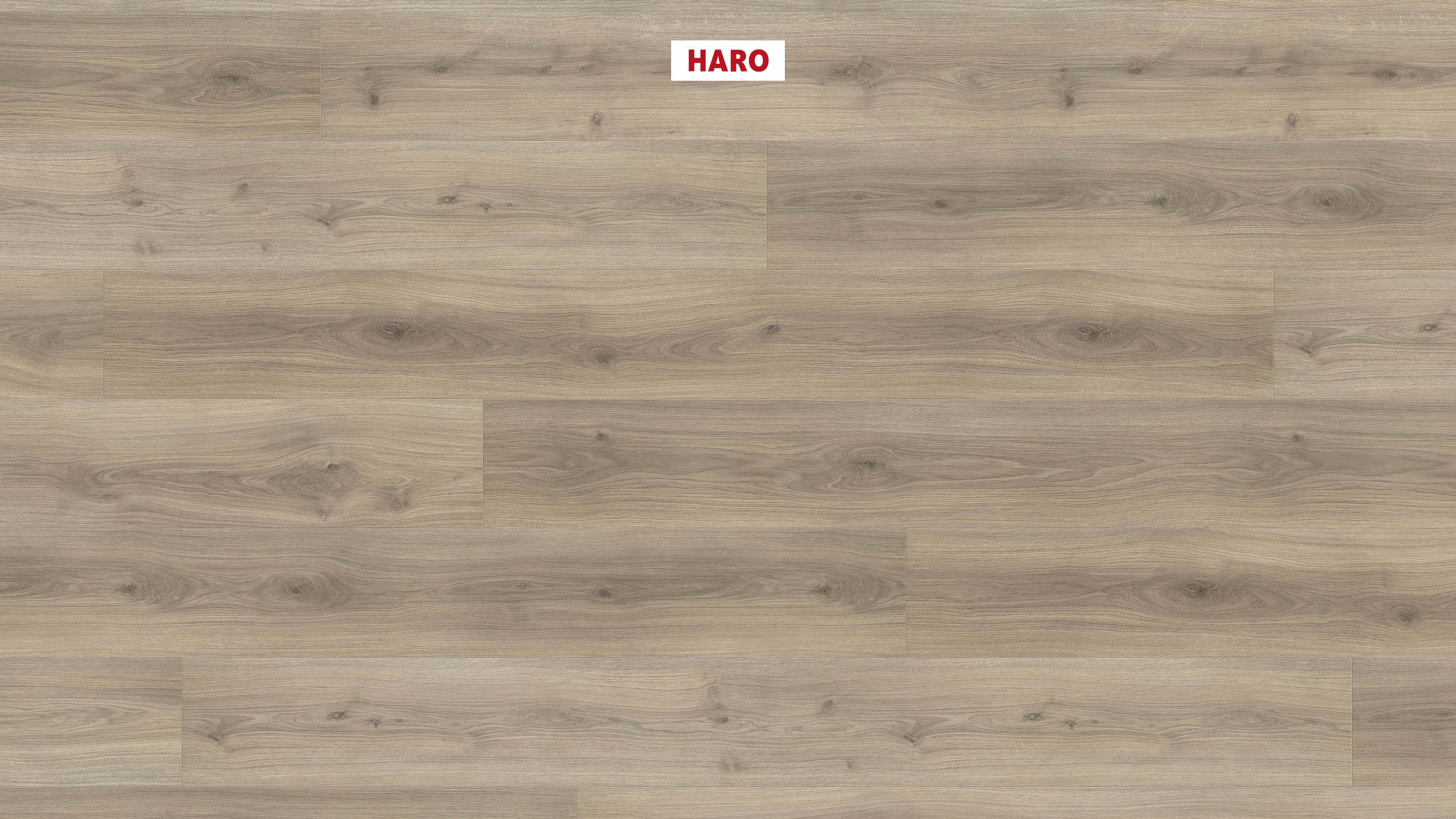 8 mm HARO Laminatboden Tritty 200 Aqua - Eiche Emilia samtgrau_0