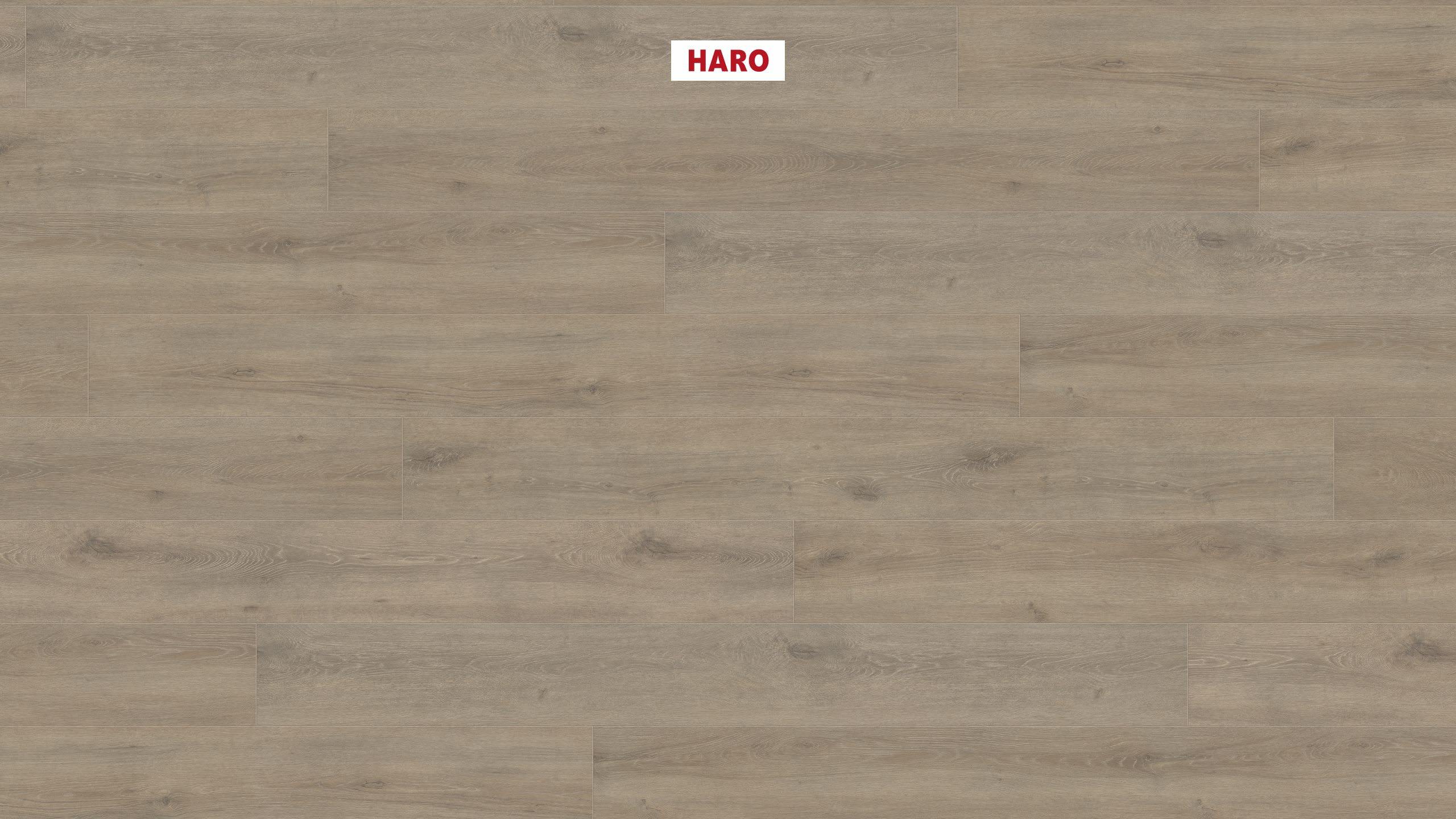 8 mm HARO Laminatboden Tritty 200 Aqua - Eiche Veneto mocca_0 8 mm HARO Laminatboden Tritty 200 Aqua - Eiche Veneto mocca_0