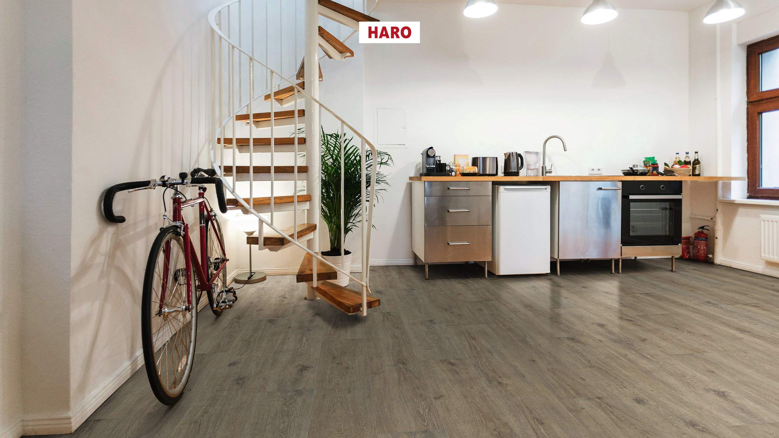 8 mm HARO Laminatboden Tritty 200 Aqua - Eiche Veneto mocca_1 8 mm HARO Laminatboden Tritty 200 Aqua - Eiche Veneto mocca_1