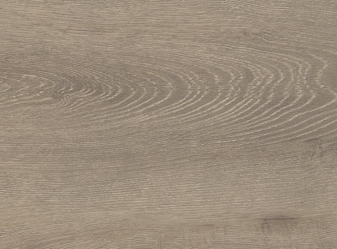 8 mm HARO Laminatboden Tritty 200 Aqua - Eiche Veneto mocca_2 8 mm HARO Laminatboden Tritty 200 Aqua - Eiche Veneto mocca_2