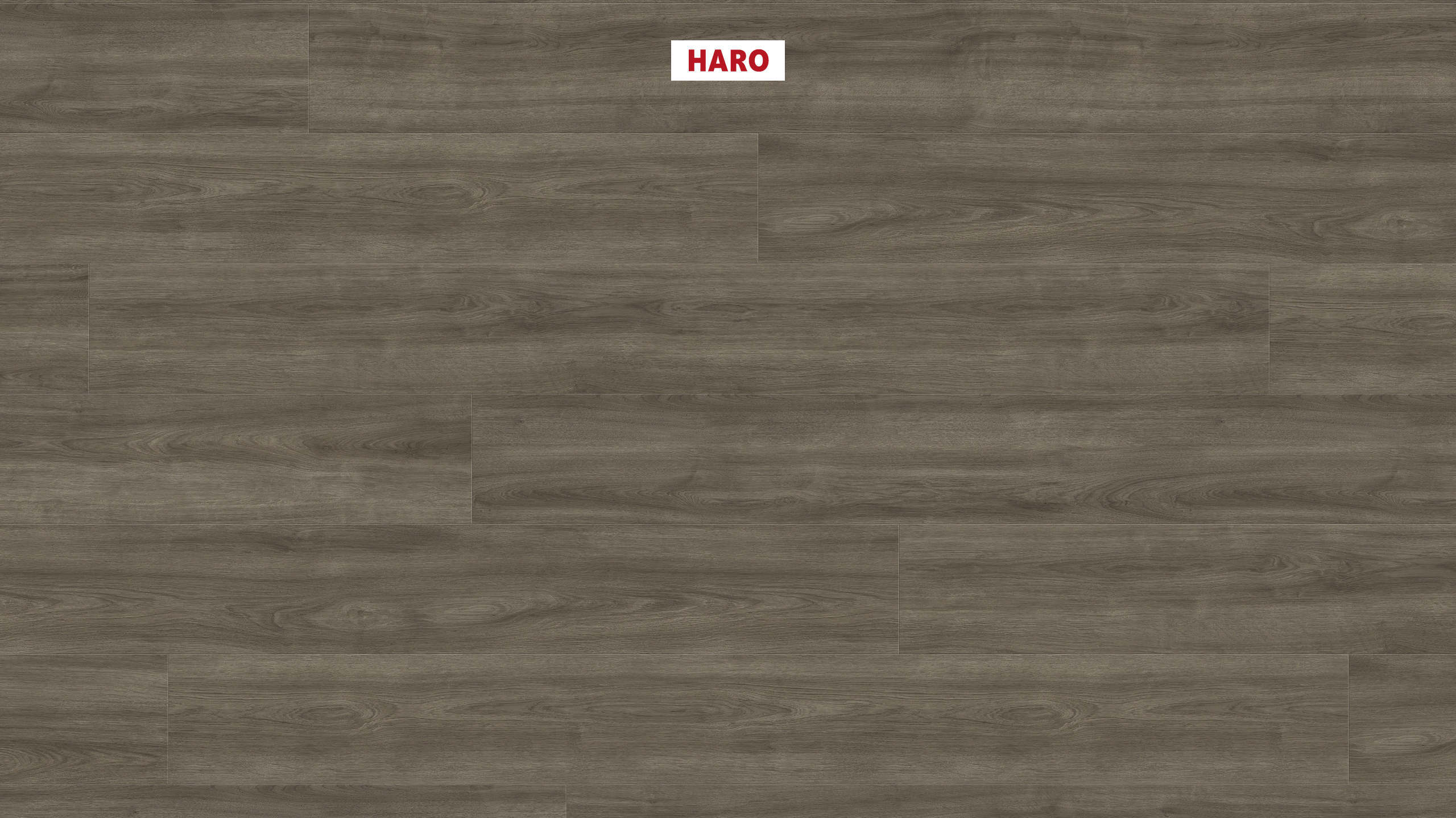 8 mm HARO Laminatboden Tritty 200 Aqua - Eiche Eleganza antikgrau_0 8 mm HARO Laminatboden Tritty 200 Aqua - Eiche Eleganza antikgrau_0
