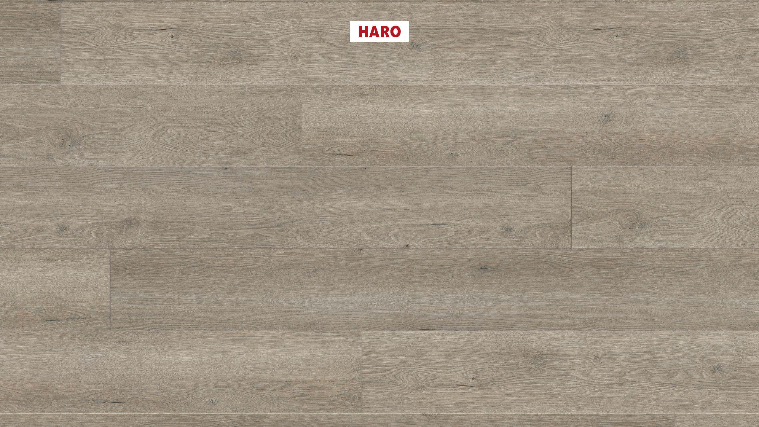 8 mm HARO Laminatboden Tritty 200 Aqua - Eiche Flavia grau_0