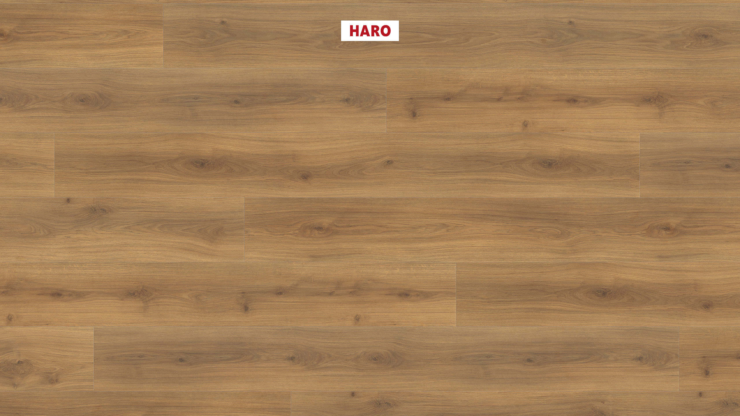 8 mm HARO Laminatboden Tritty 200 Aqua - Eiche Emilia Honig_0